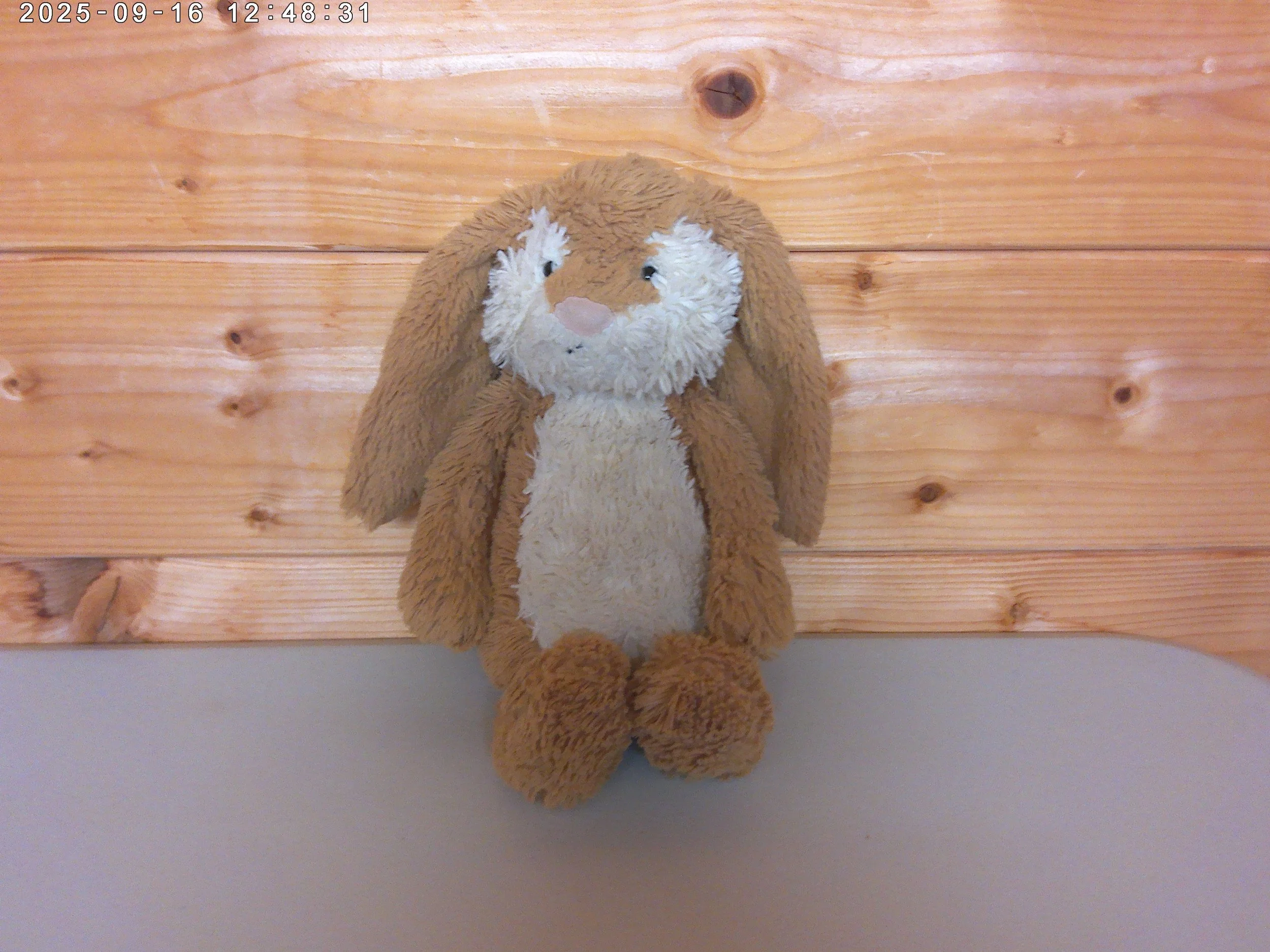 Wriggle bunny - photo 1.jpg