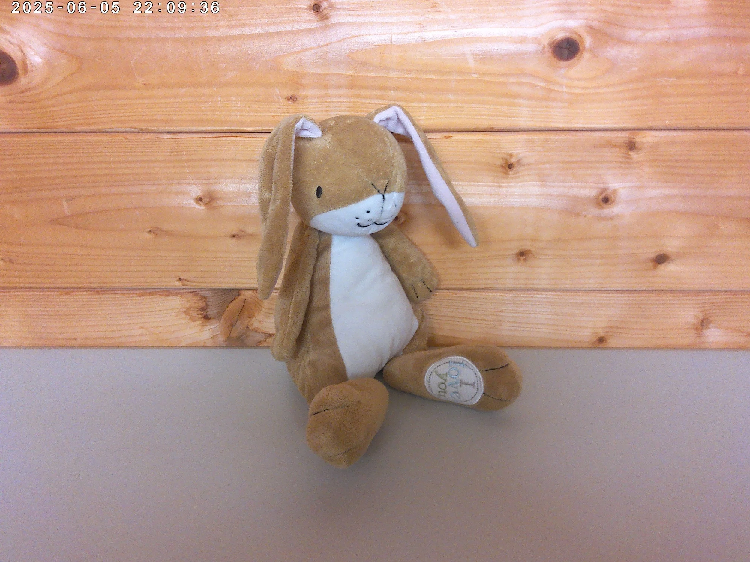 Guess How Much I Love You Bunny