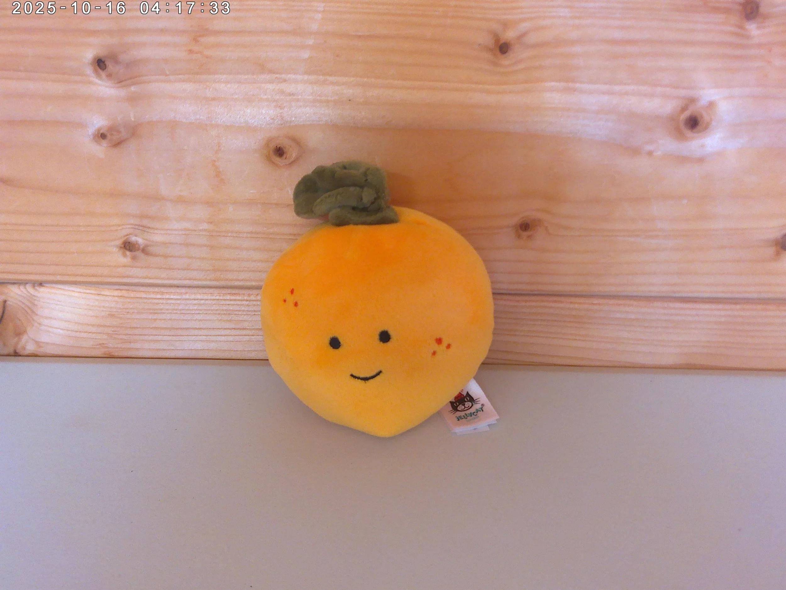 orange - photo 1.jpg