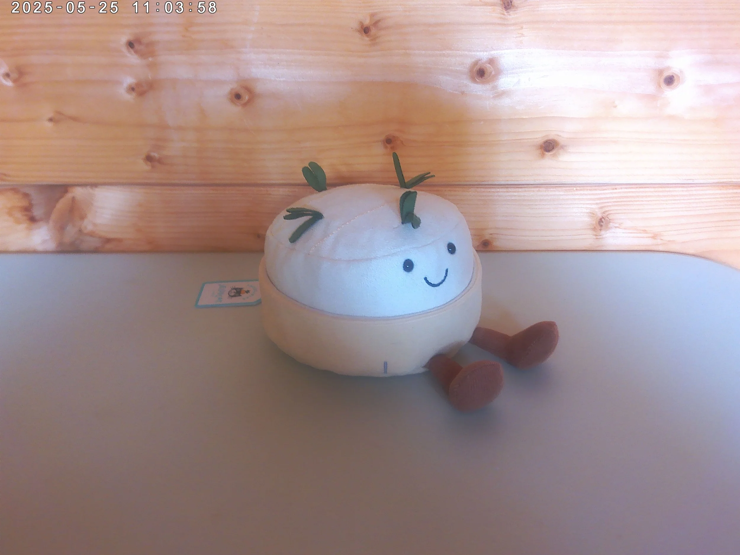 Camembert - photo 3.jpg