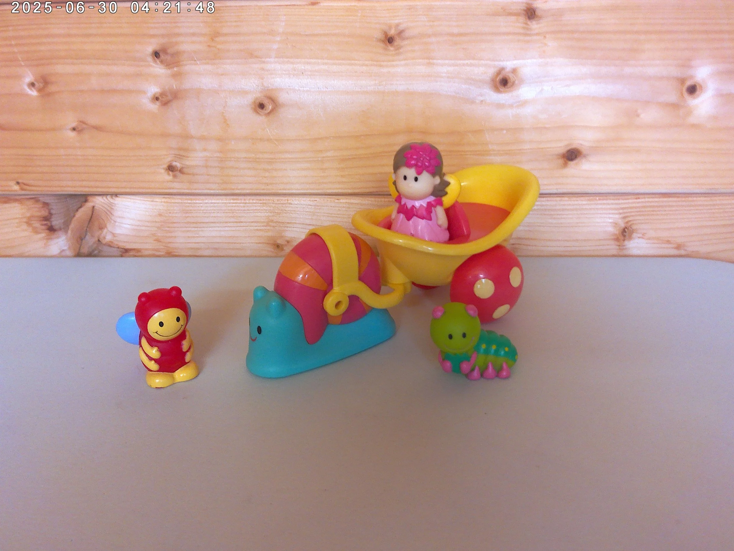 Fairy snail - photo 2.jpg