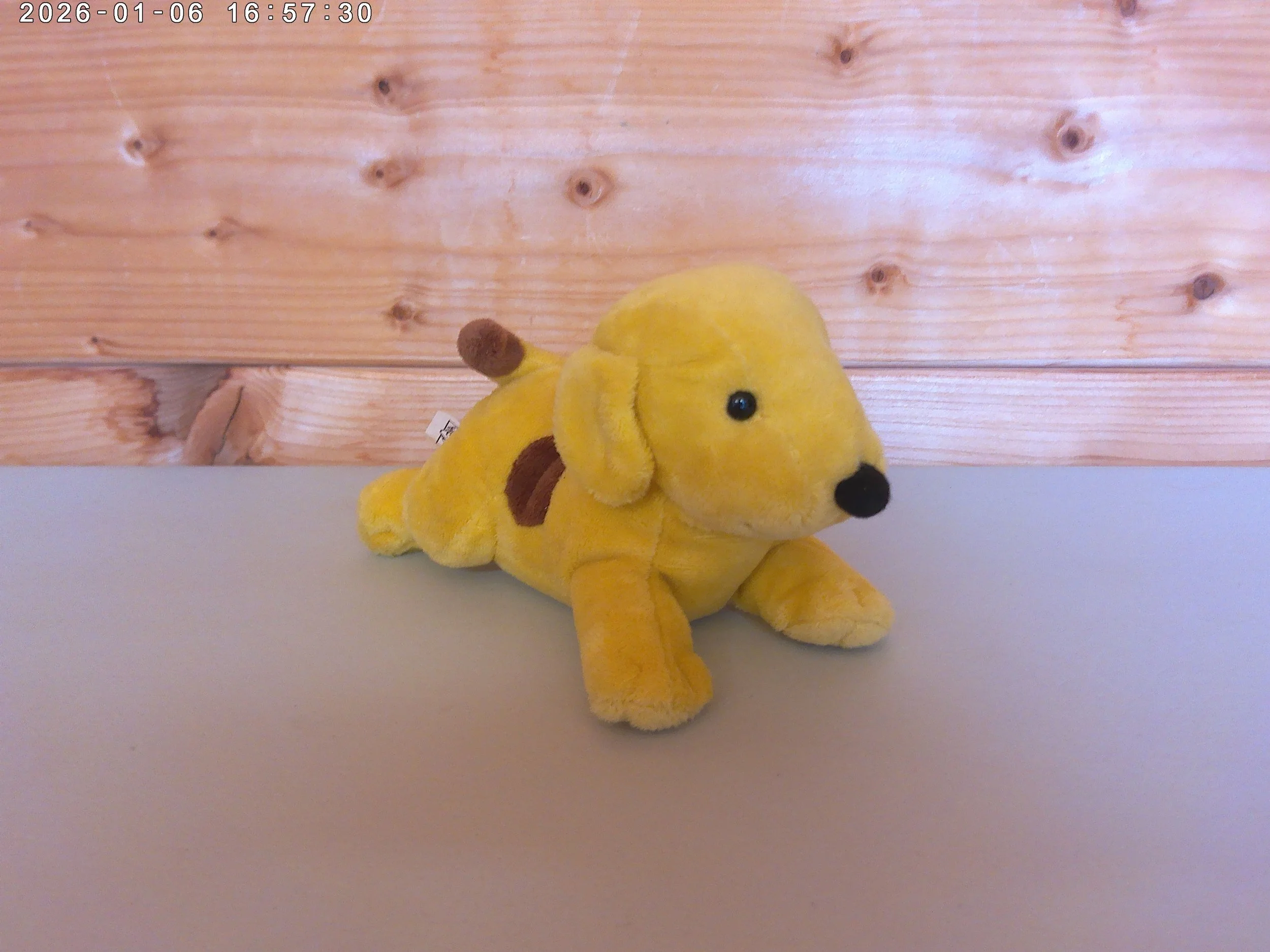 spot - photo 5.jpg