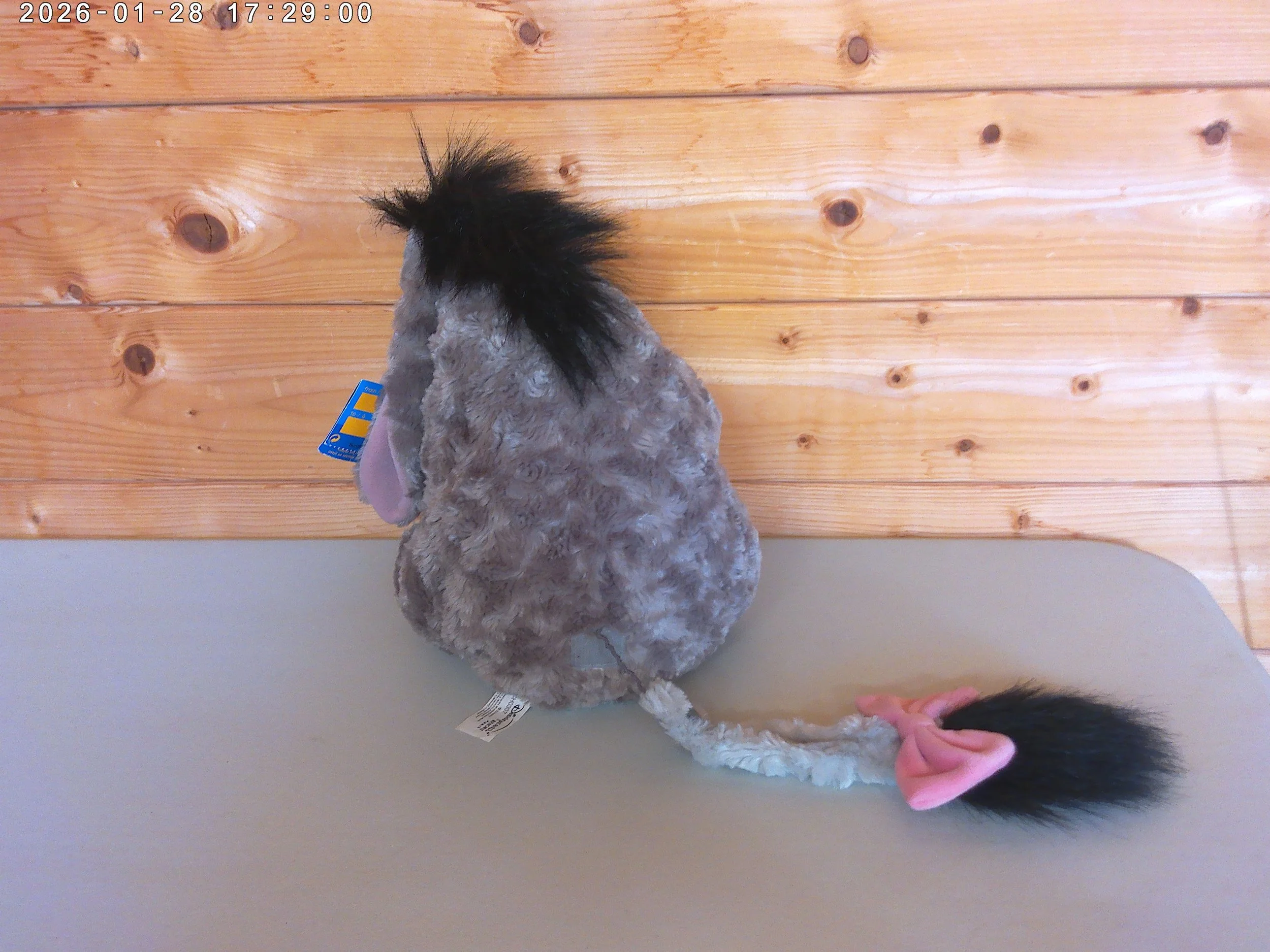 Eeyore - photo 4.jpg