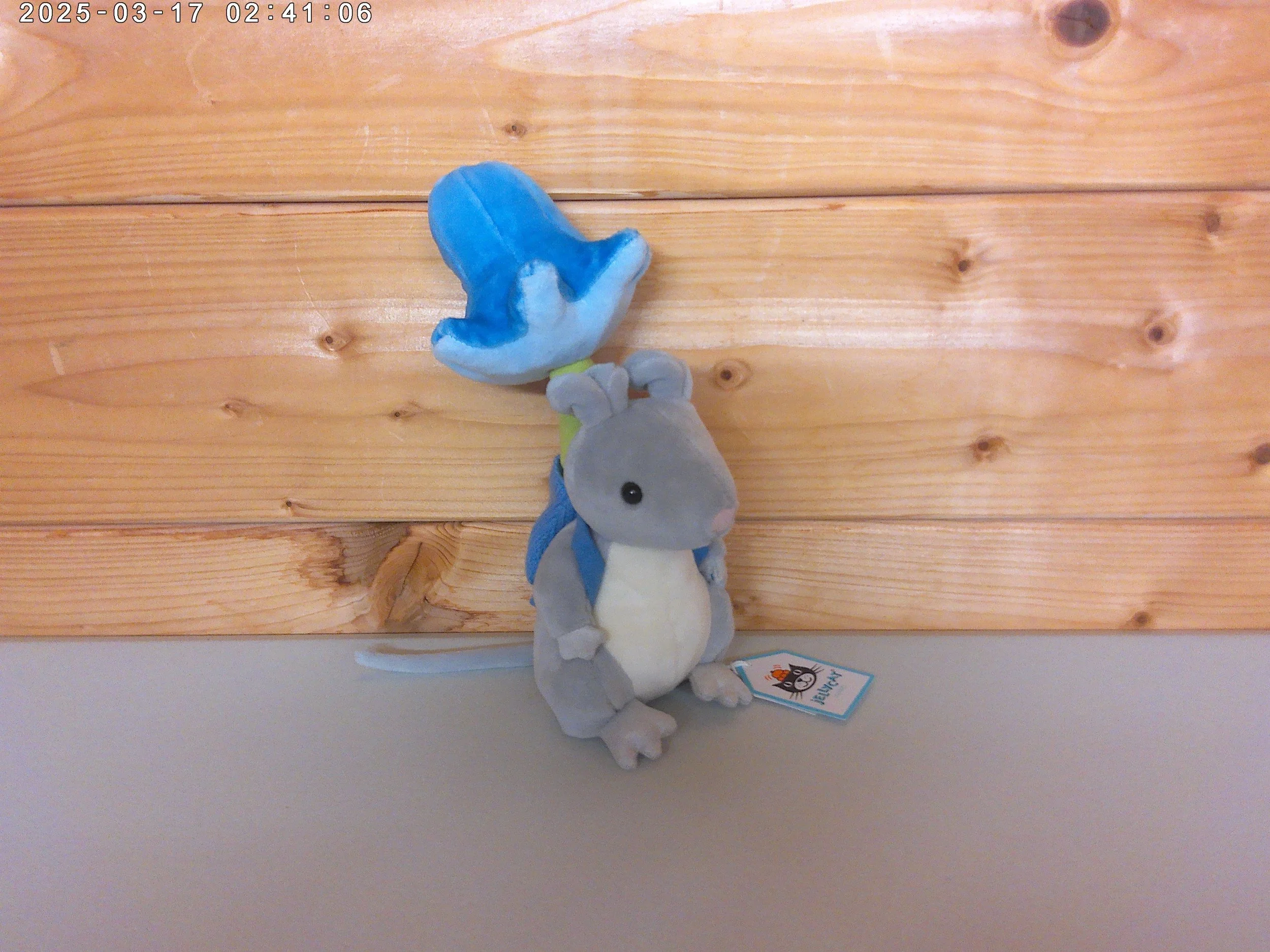 Flower mouse - photo 3.jpg