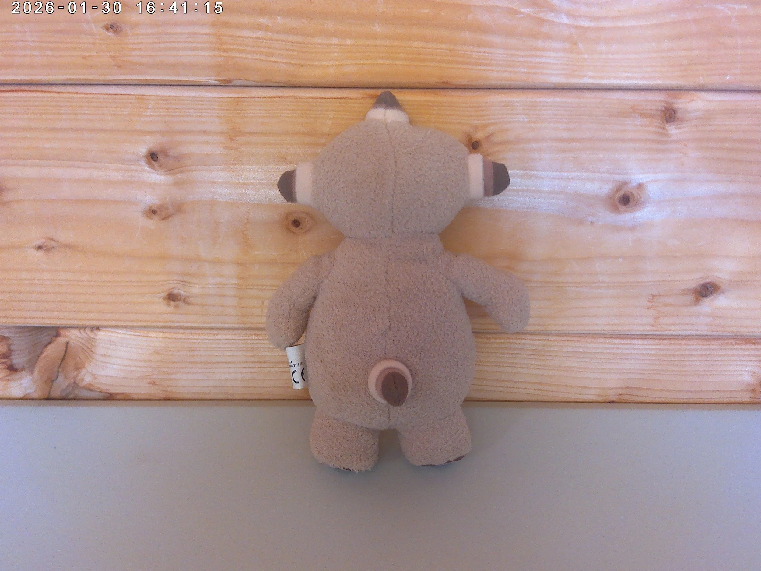 Makka Pakka - photo 2.jpg