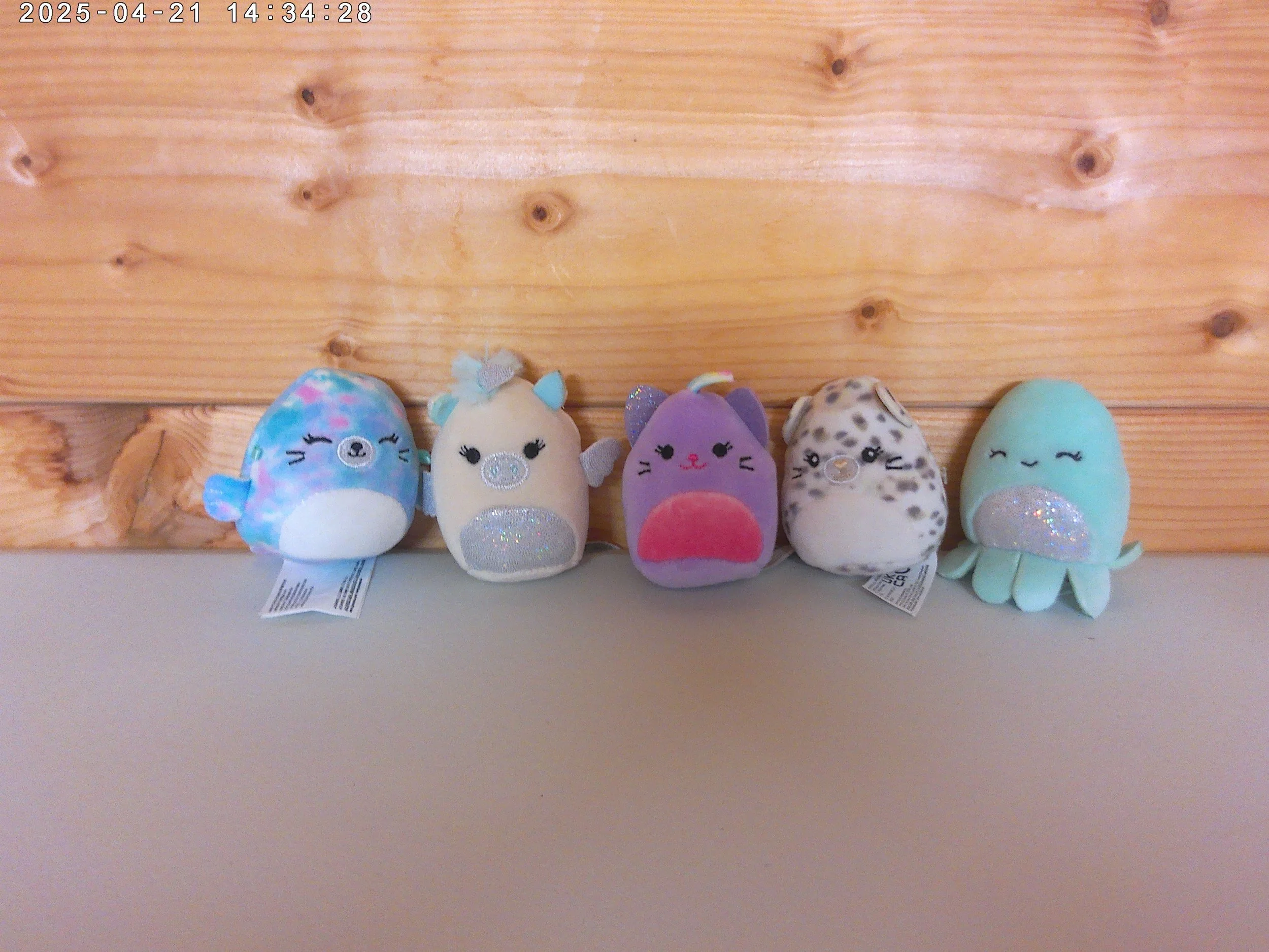 Mini squishmallows set 2.jpg