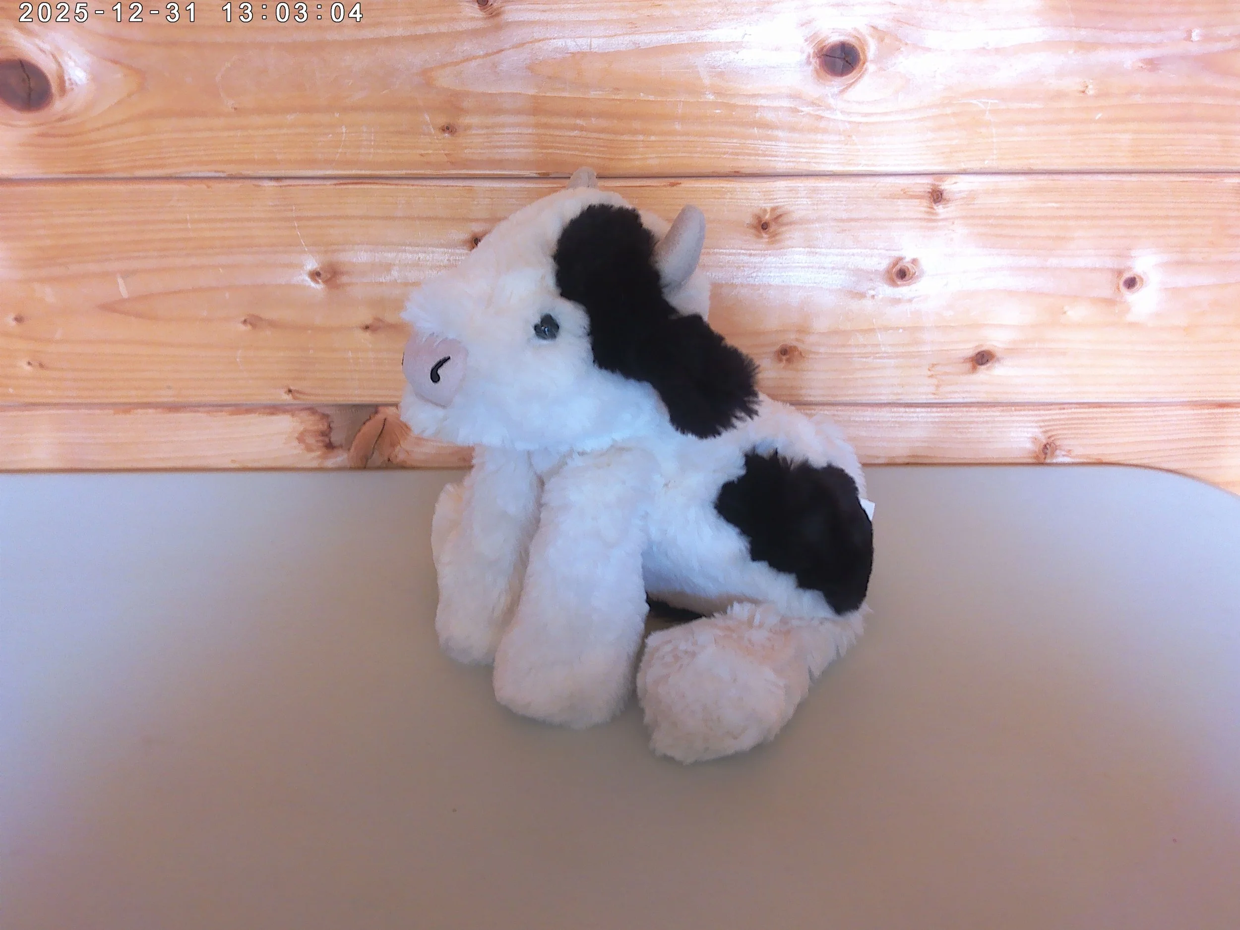 Smudge cow - photo 3.jpg