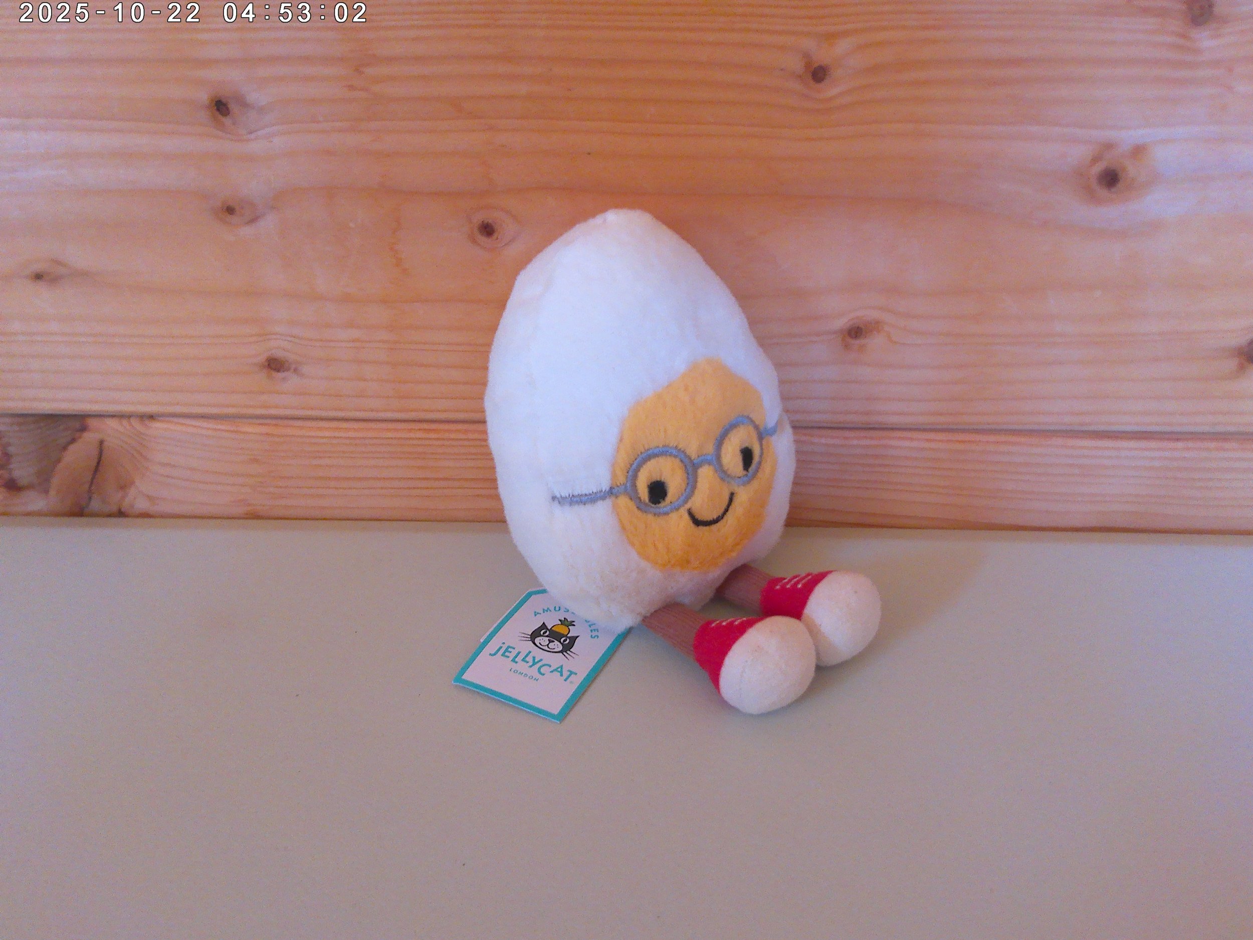 Geek egg - photo 2.jpg