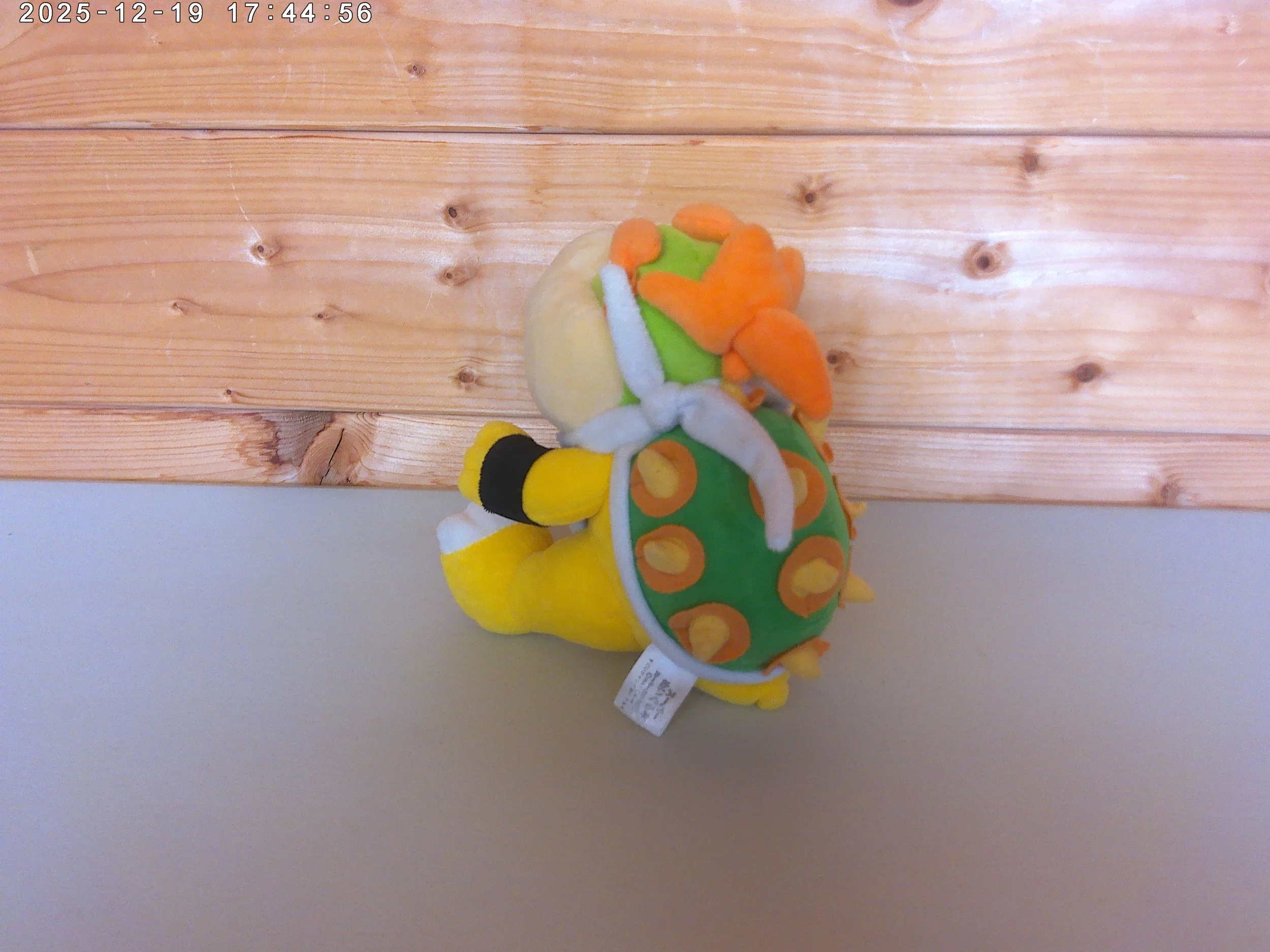 bowser junior photo 2.jpg