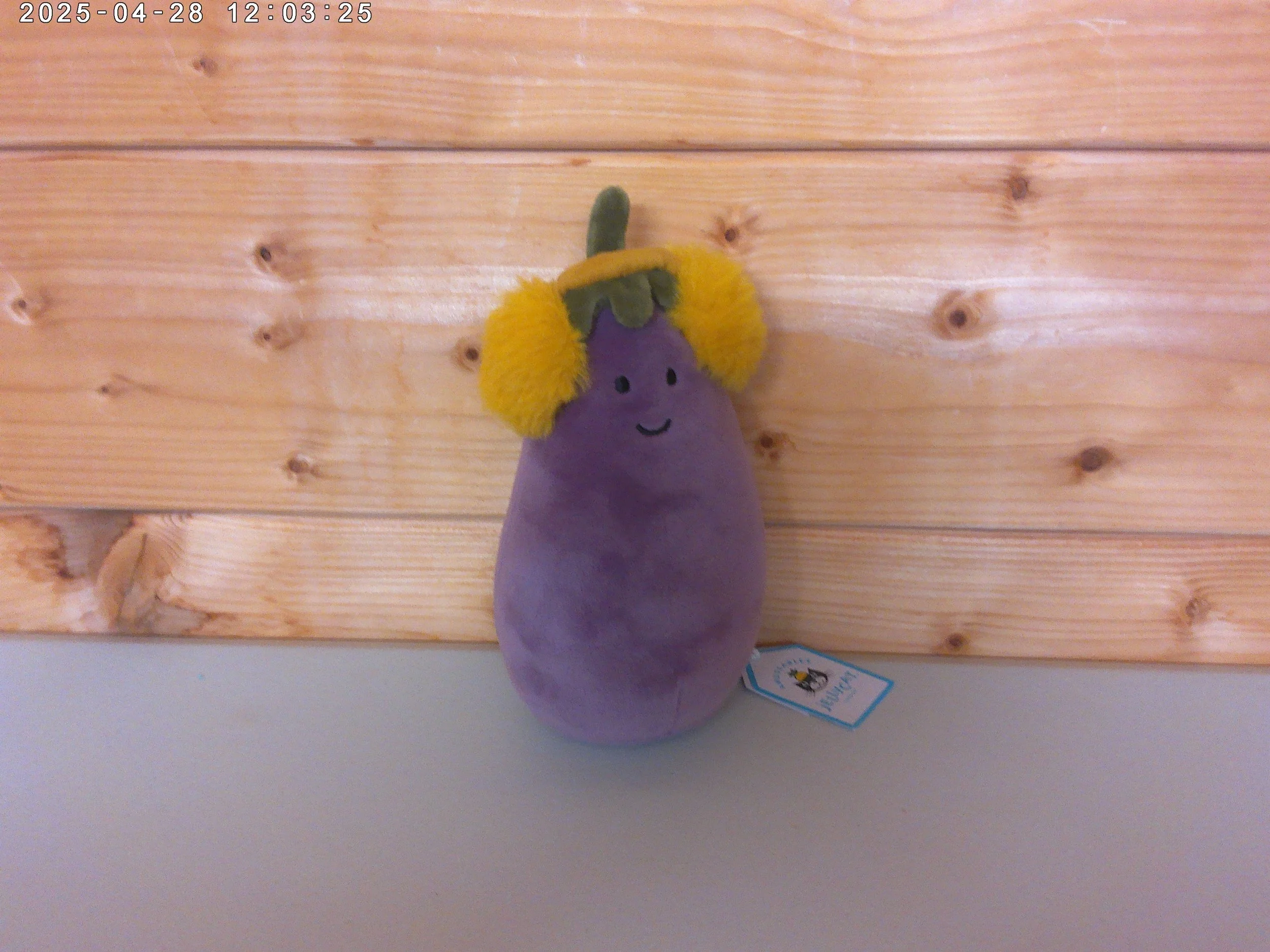 Aubergine toatie photo 3.jpg