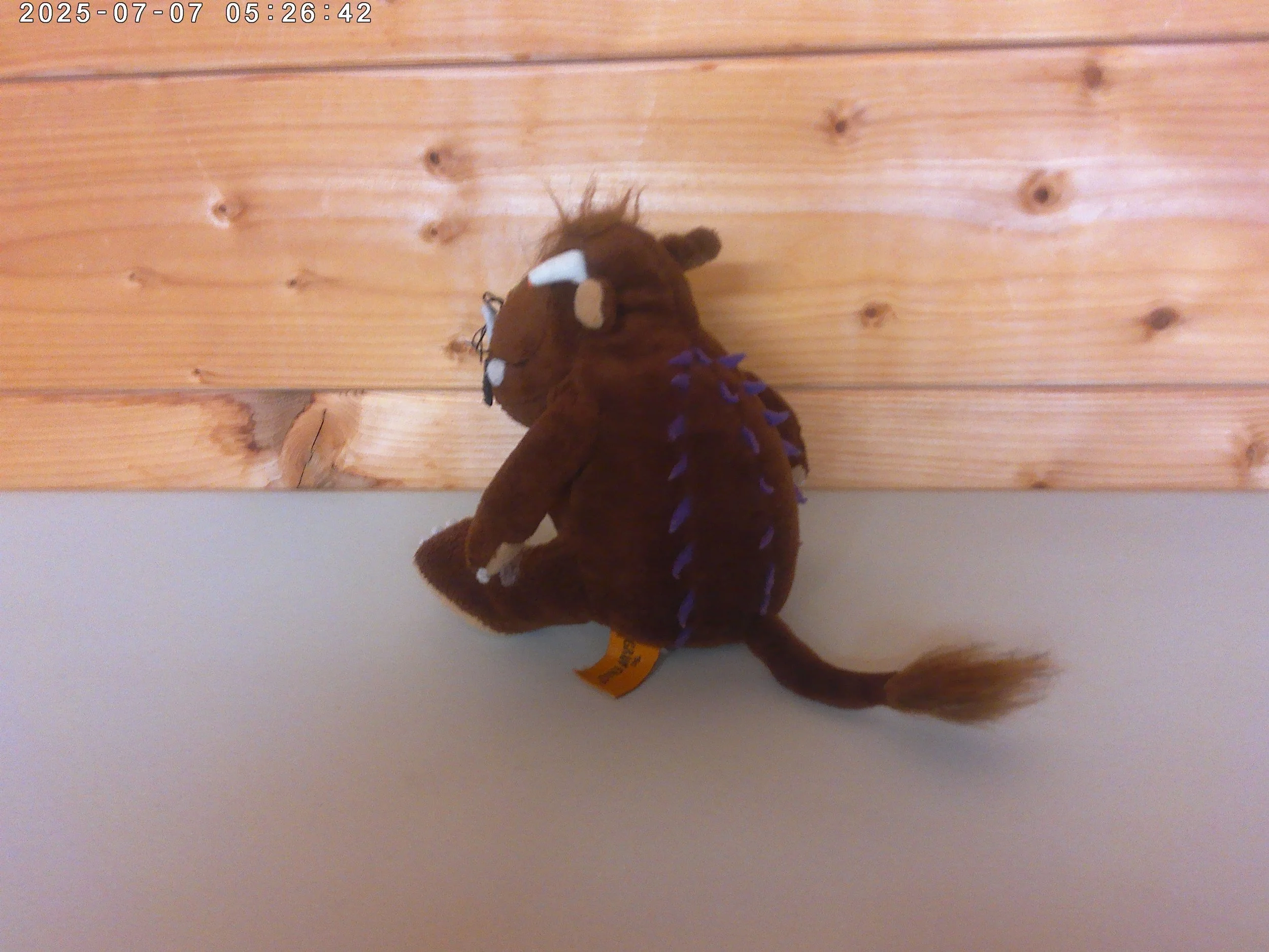The gruffalo - photo 3.jpg