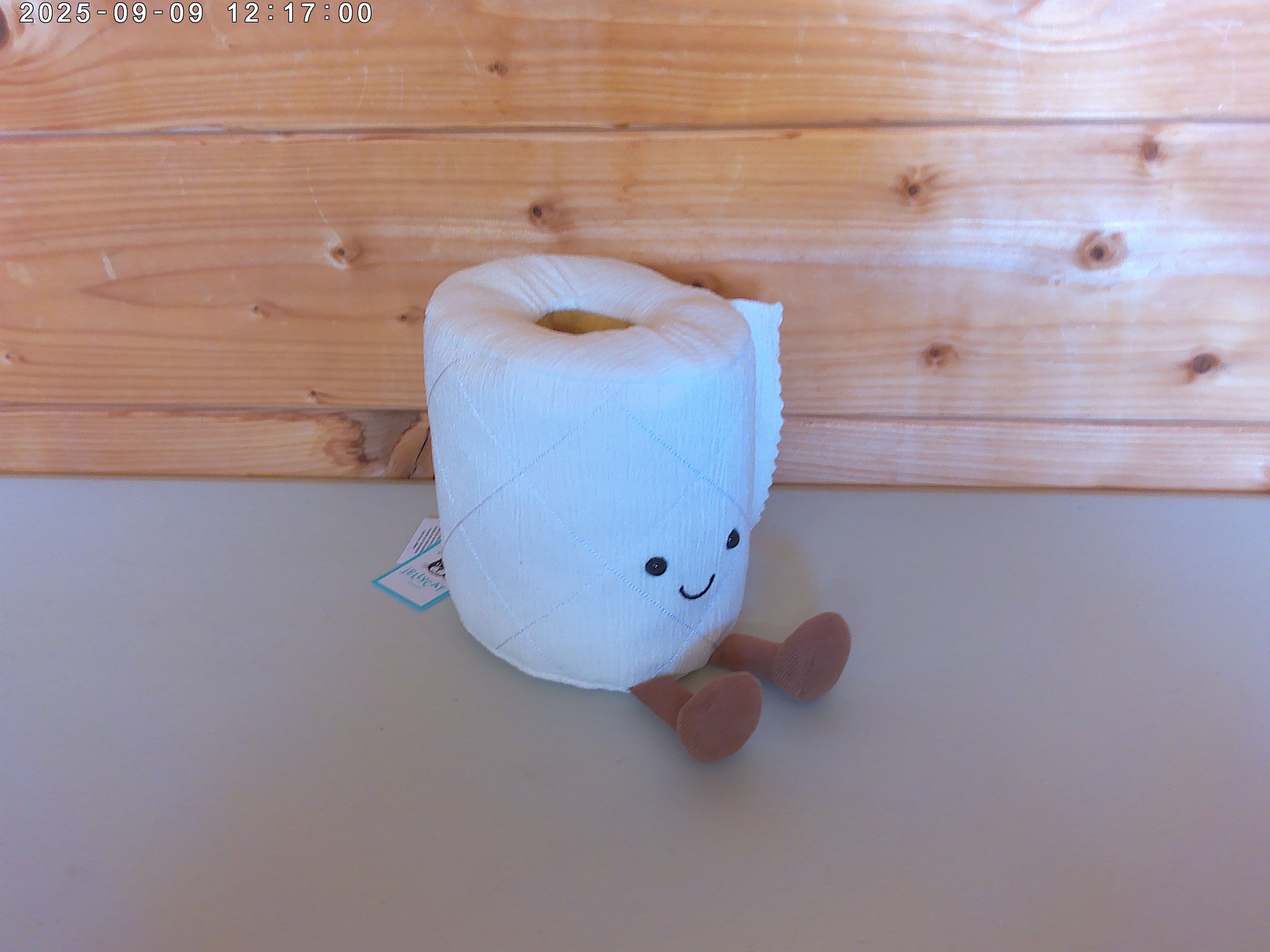 Toilet roll - photo 3.jpg