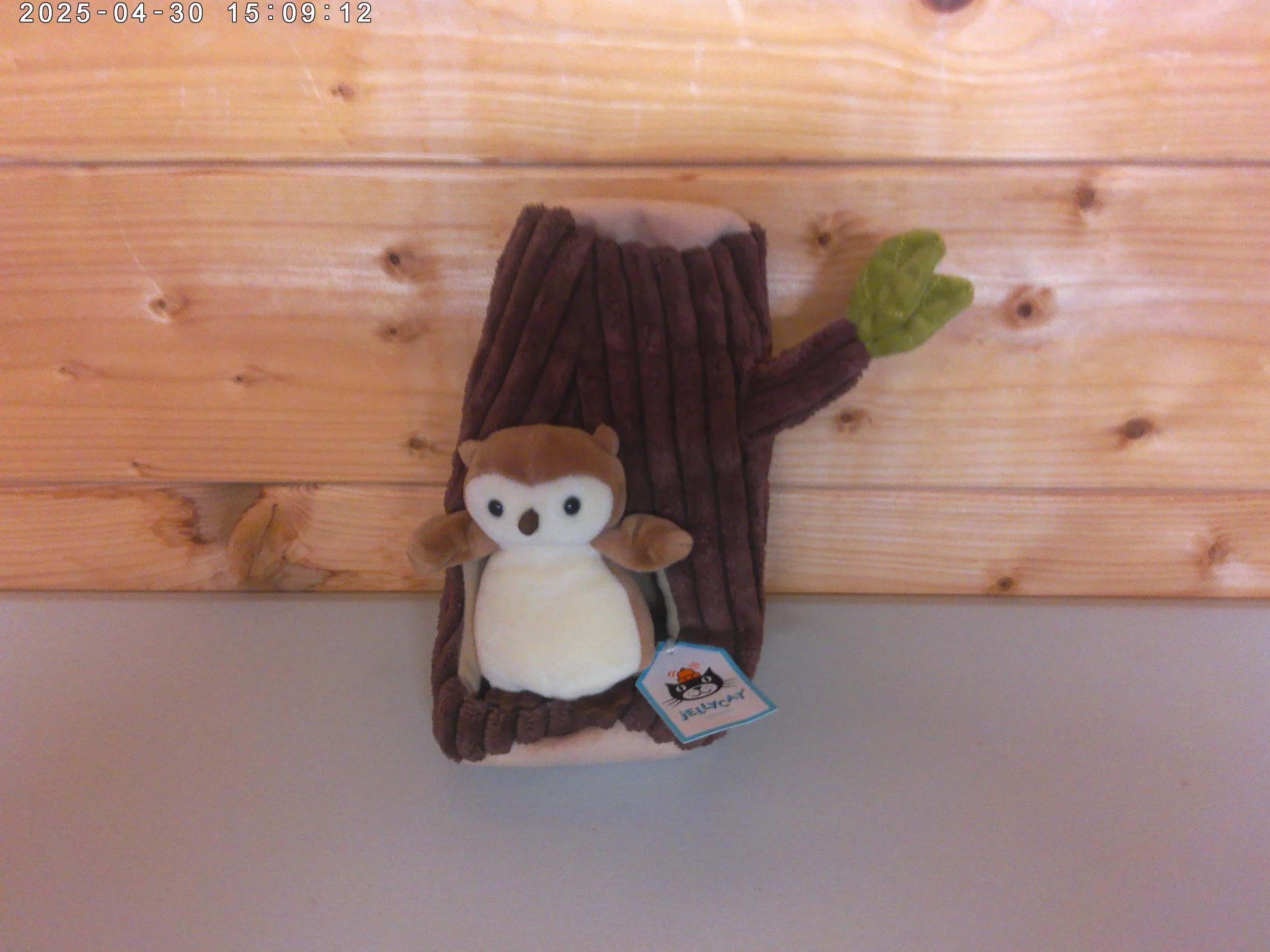 Jellycat Forest Fauna Owl - New