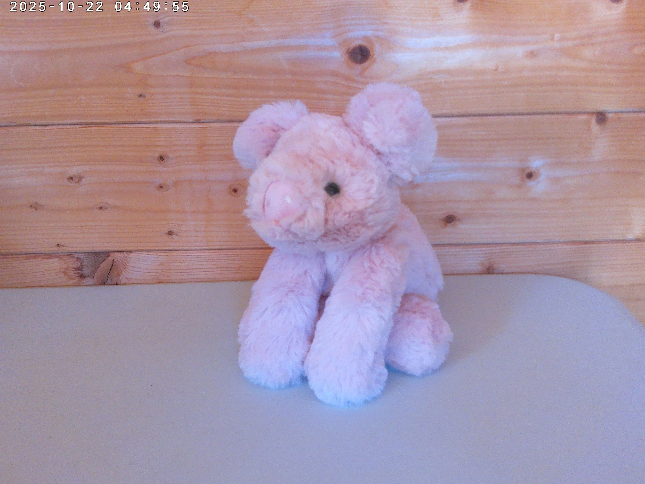 Smudge pig - photo 1.jpg