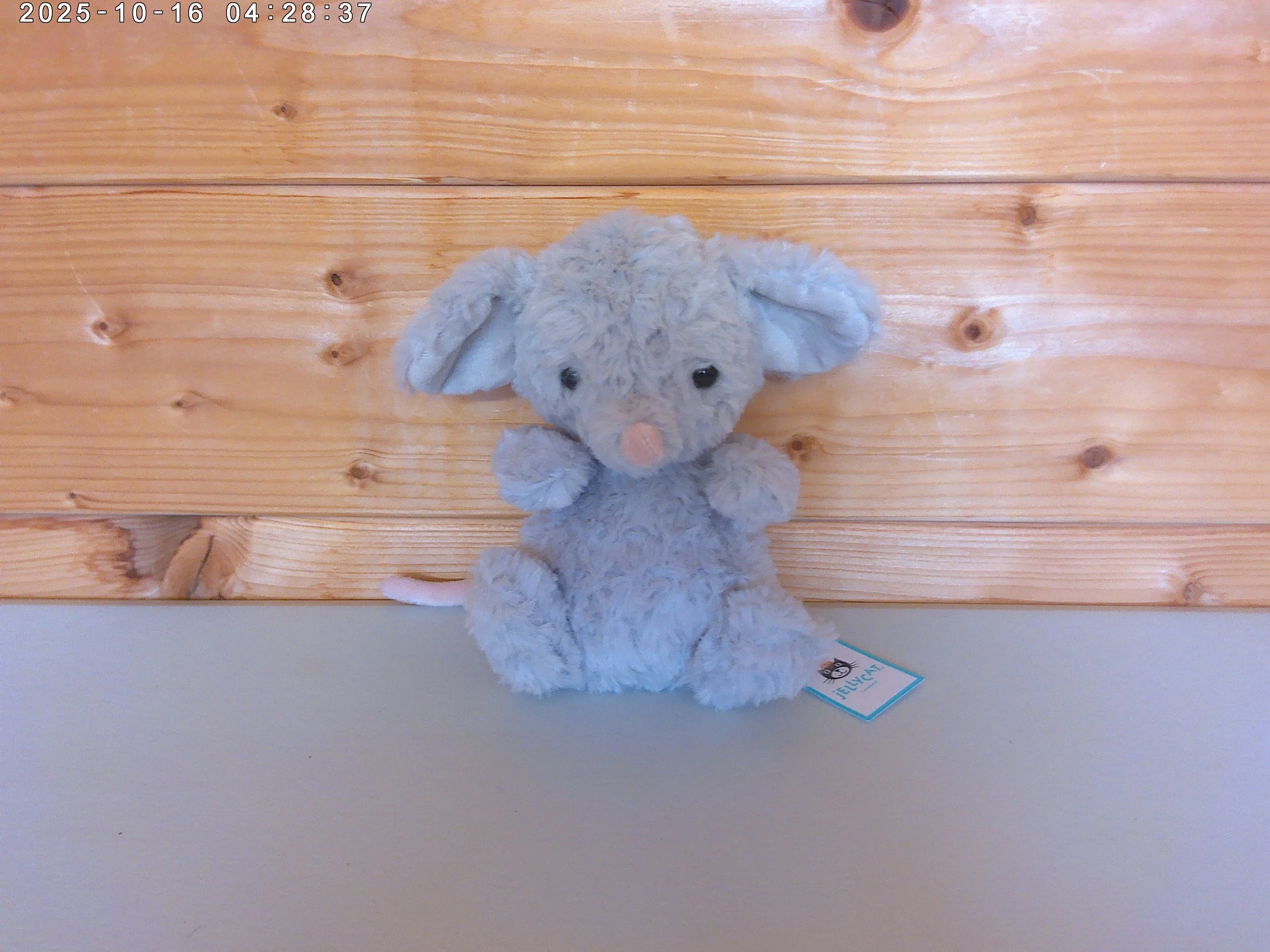 Yummy mouse - photo 1.jpg