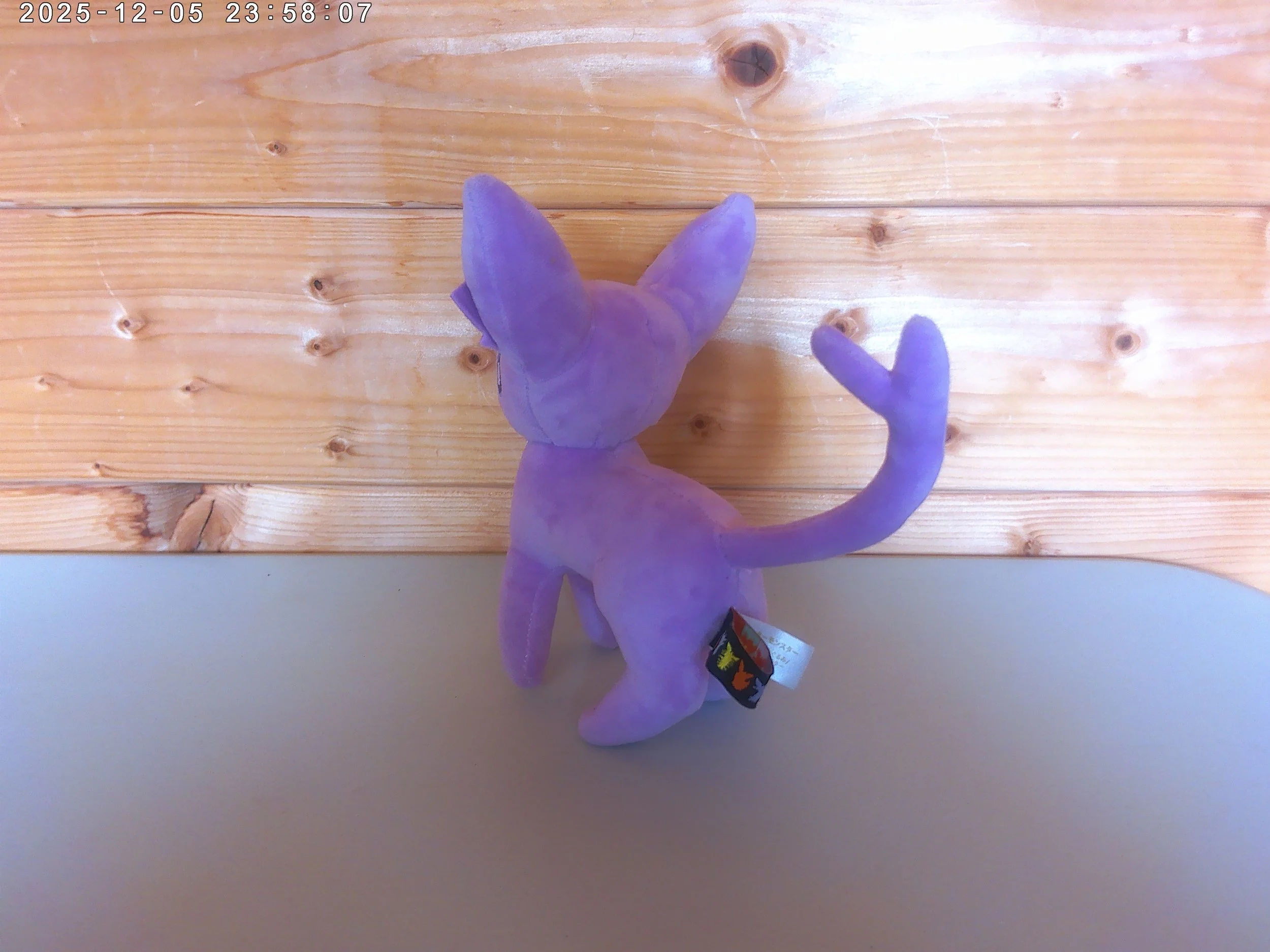 Espeon - photo 3.jpg
