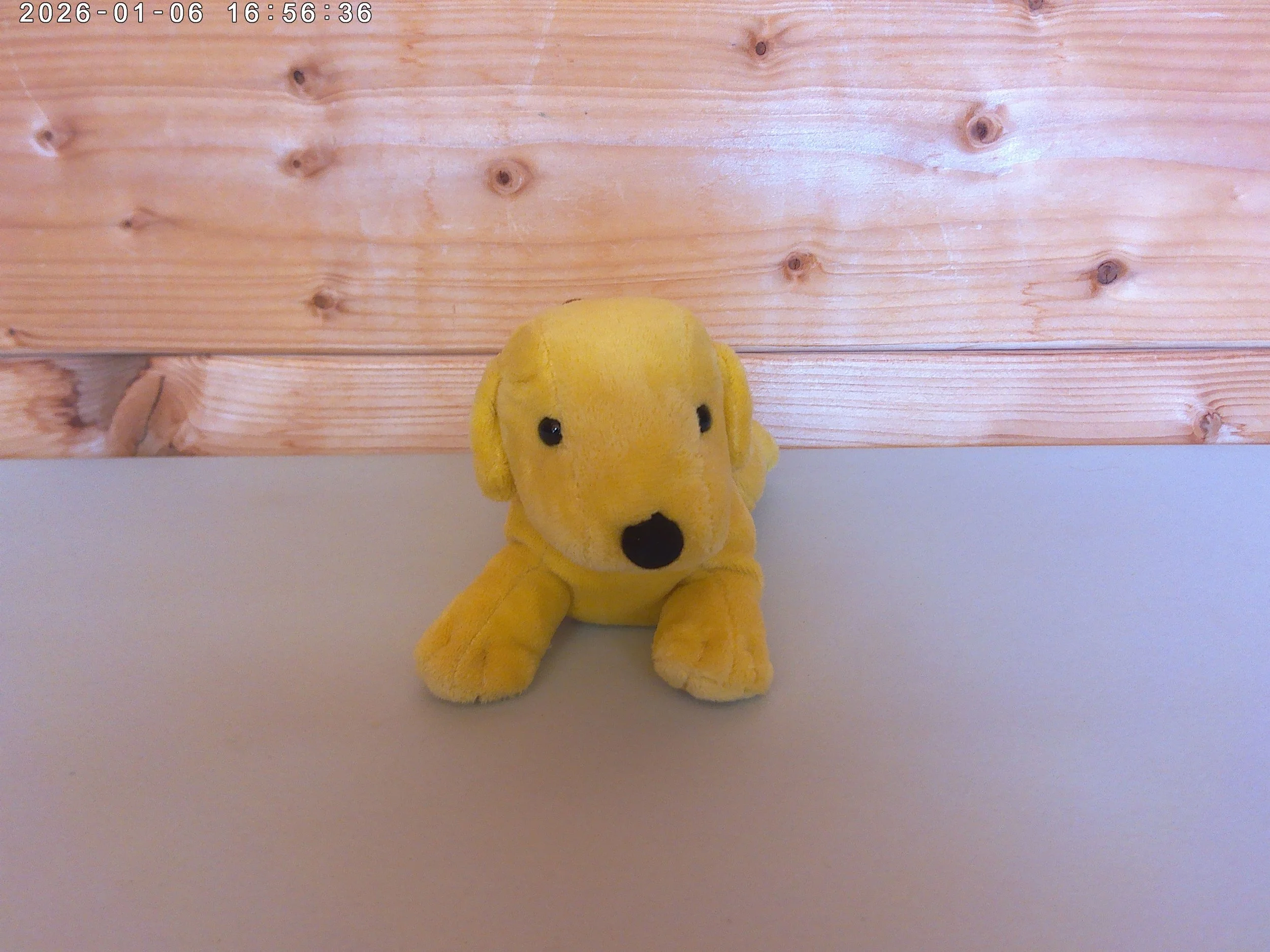 spot - photo 2.jpg