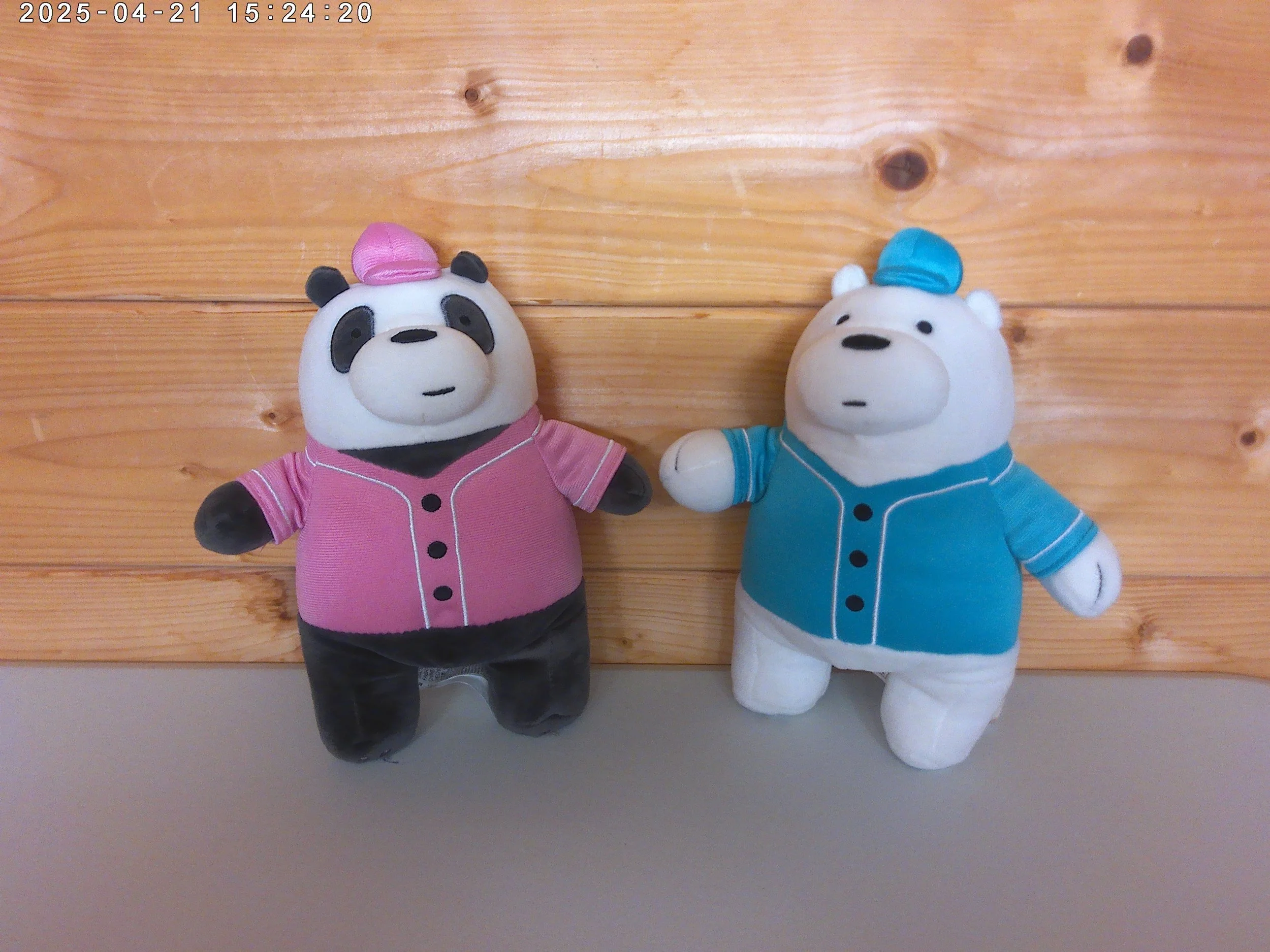 We bear bears - photo 1.jpg