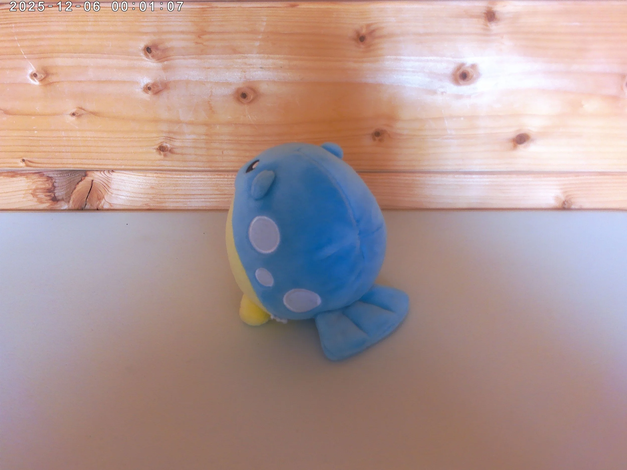 Spheal - photo 2.jpg