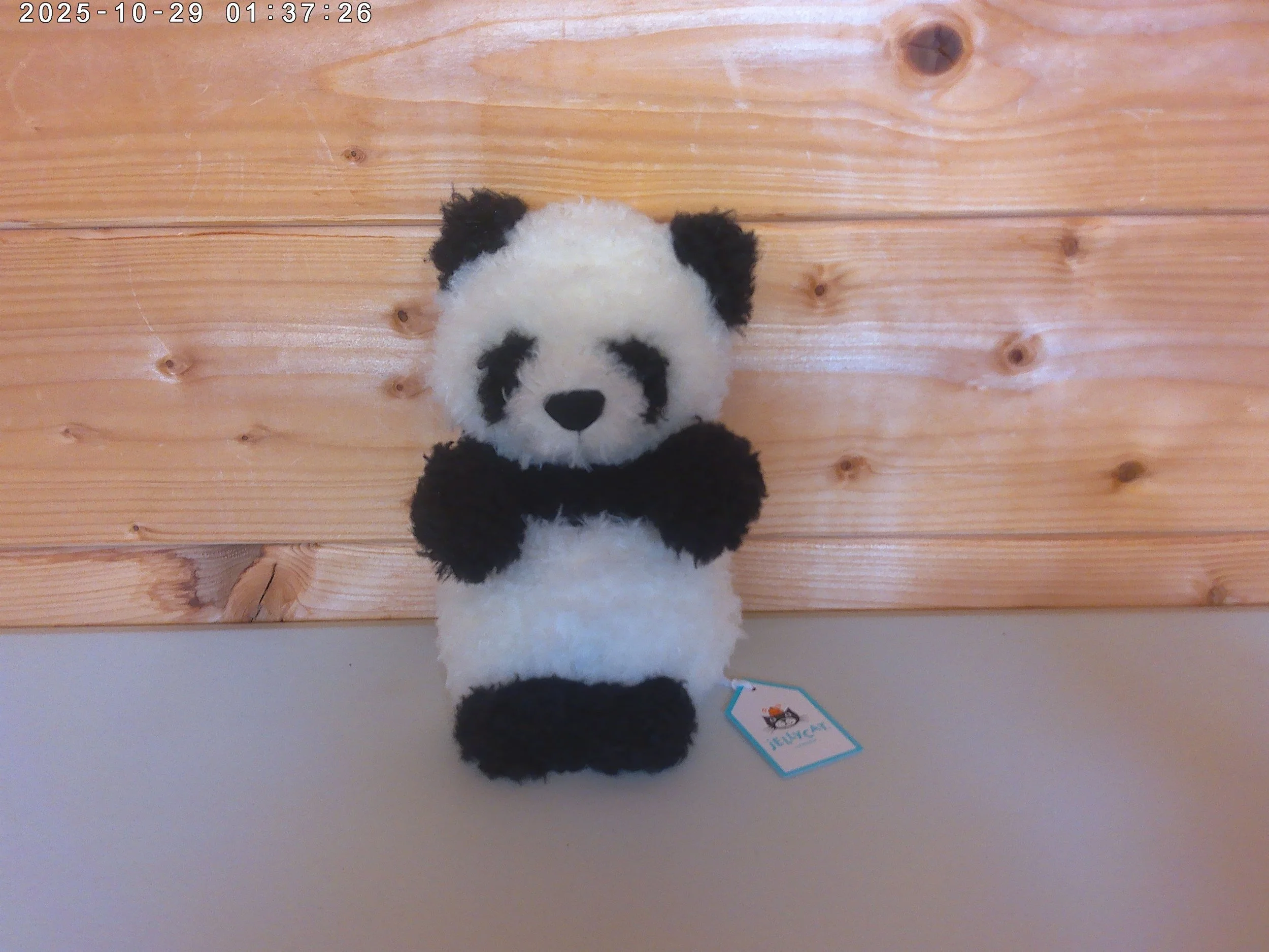Little panda - photo 1.jpg