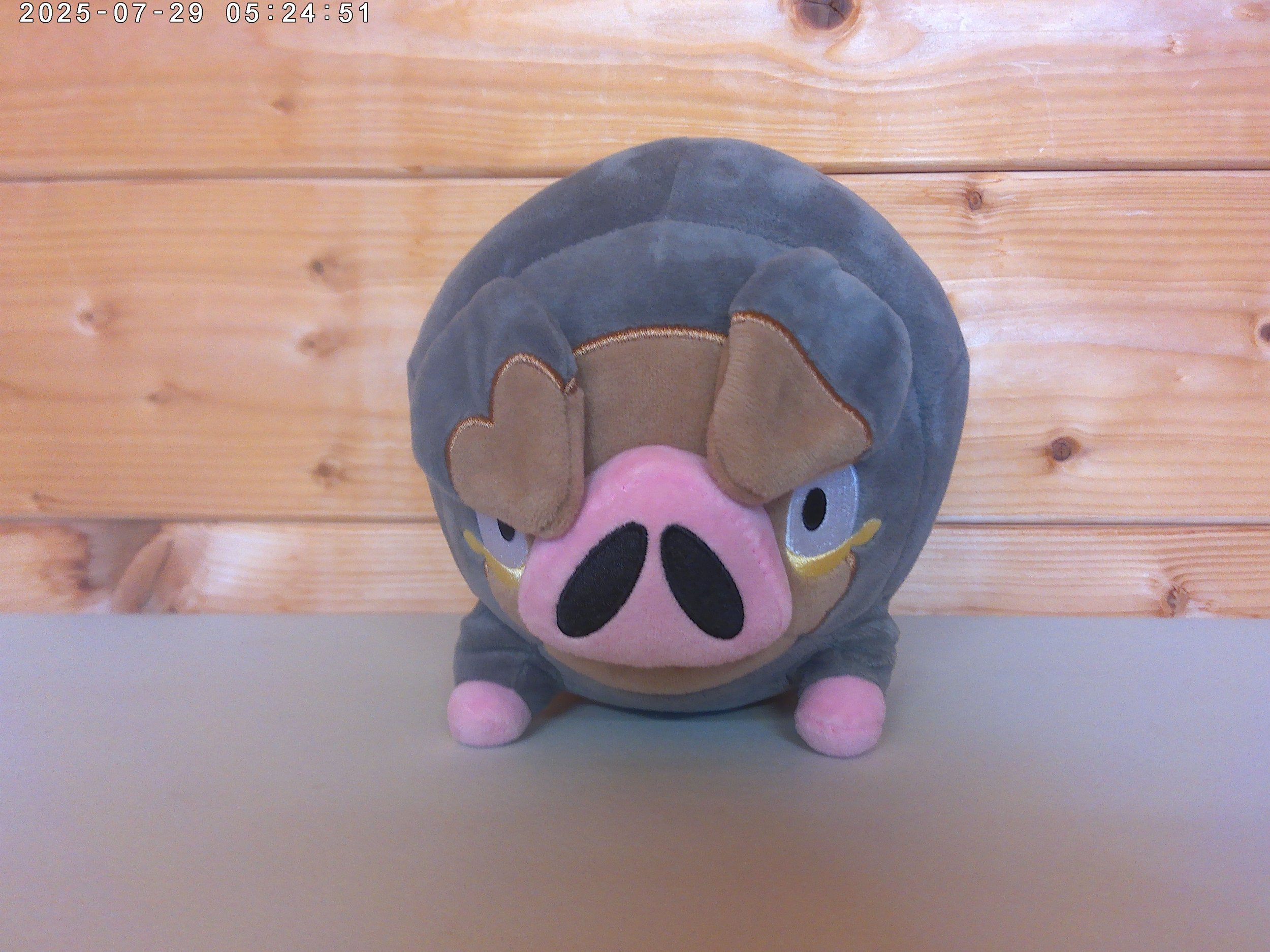 Lechonk - photo 4.jpg