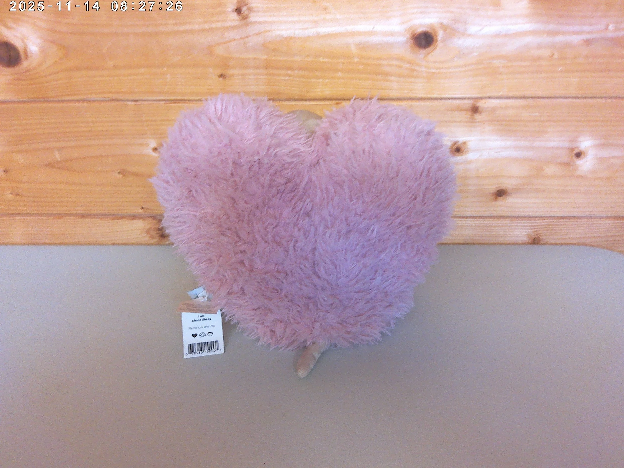 Aimee Sheep - photo 2.jpg