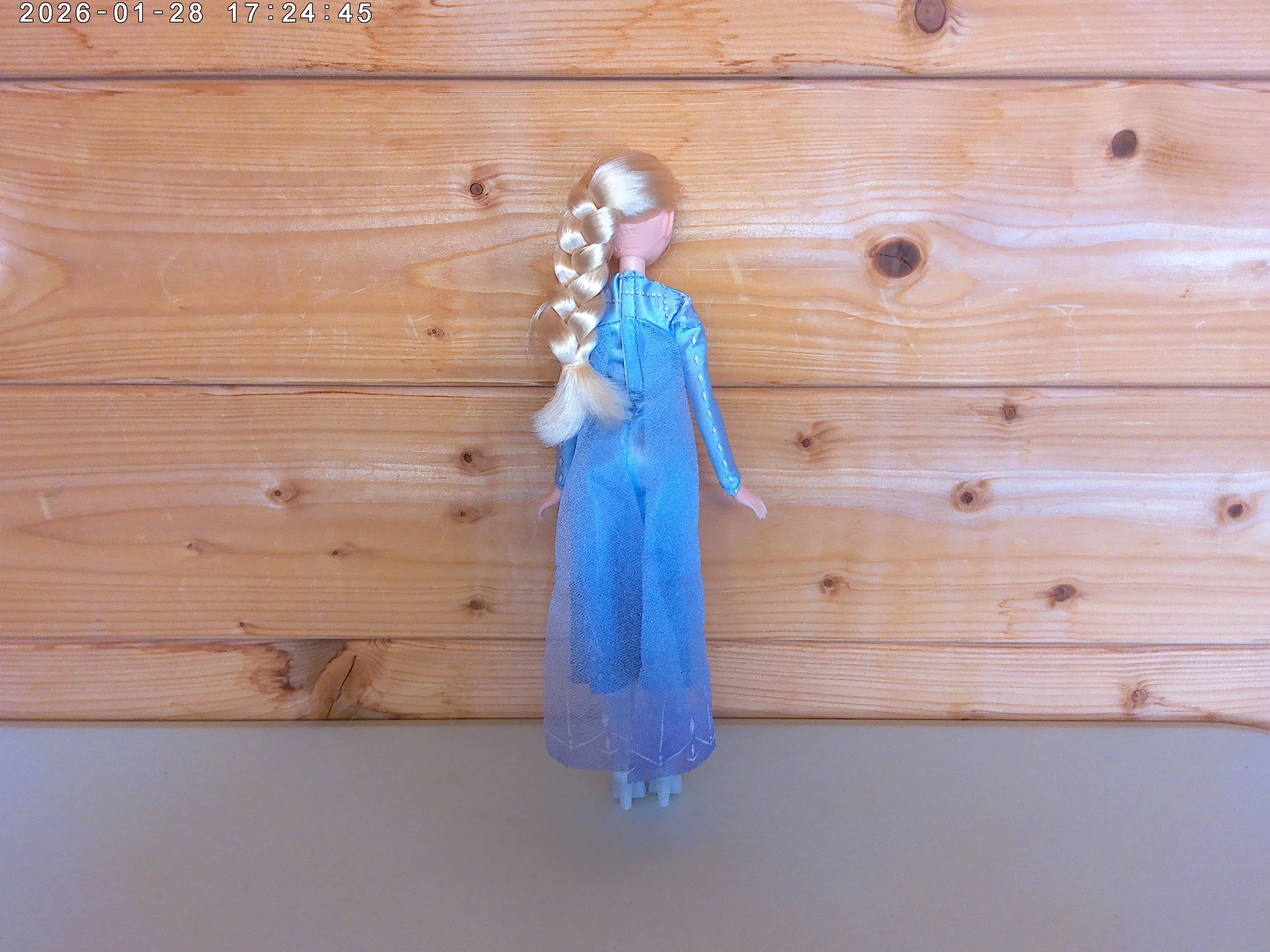 Elsa - photo 2.jpg