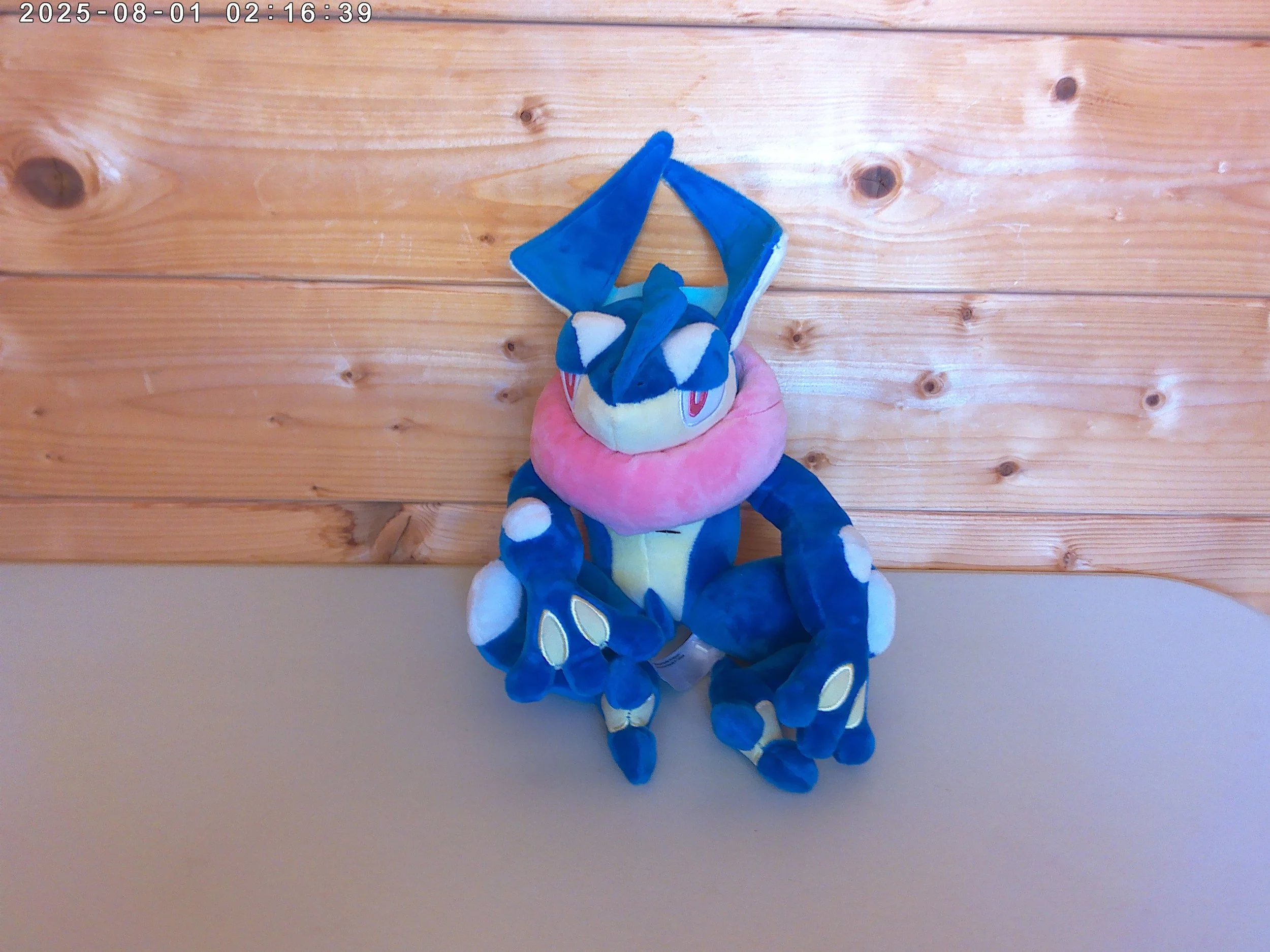 Greninja - photo 1.jpg