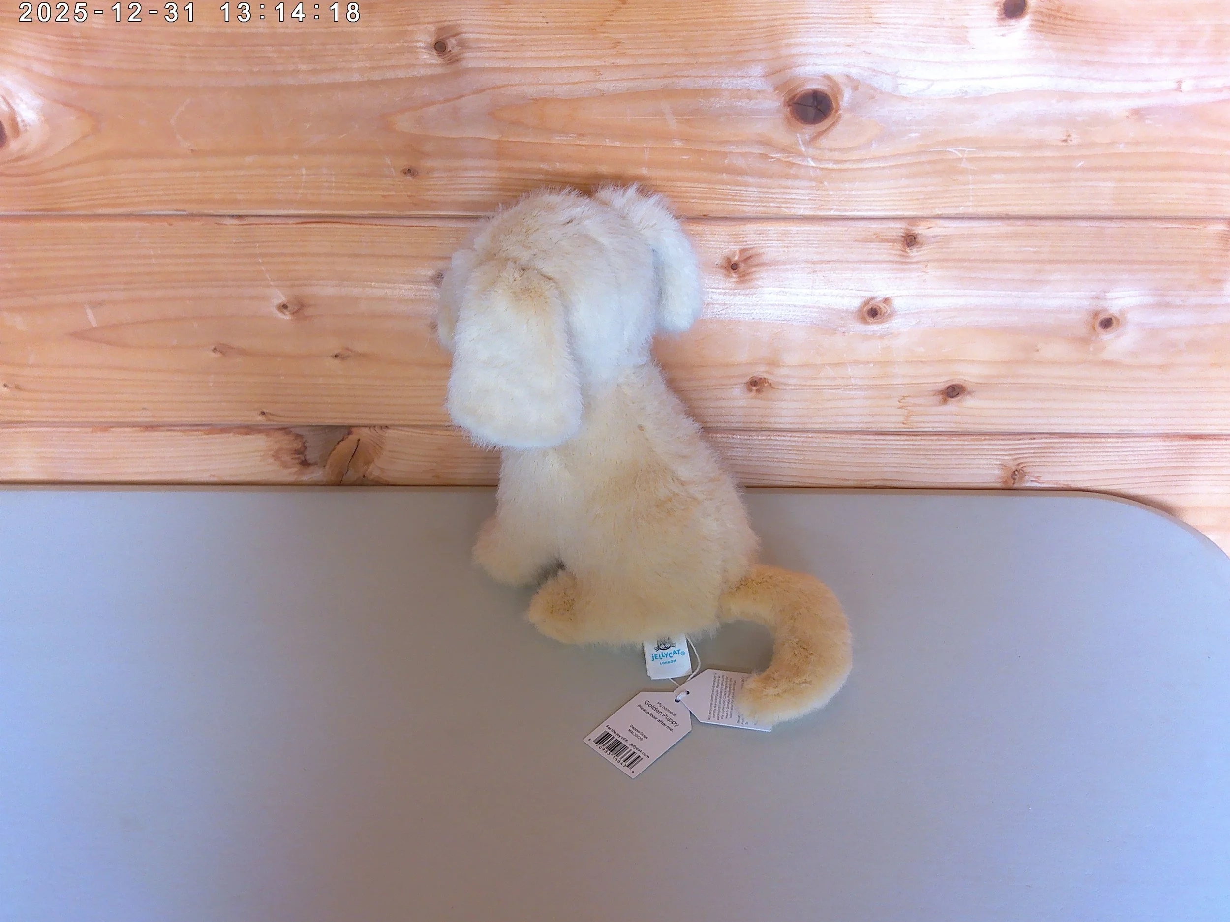 Golden puppy - photo 3.jpg