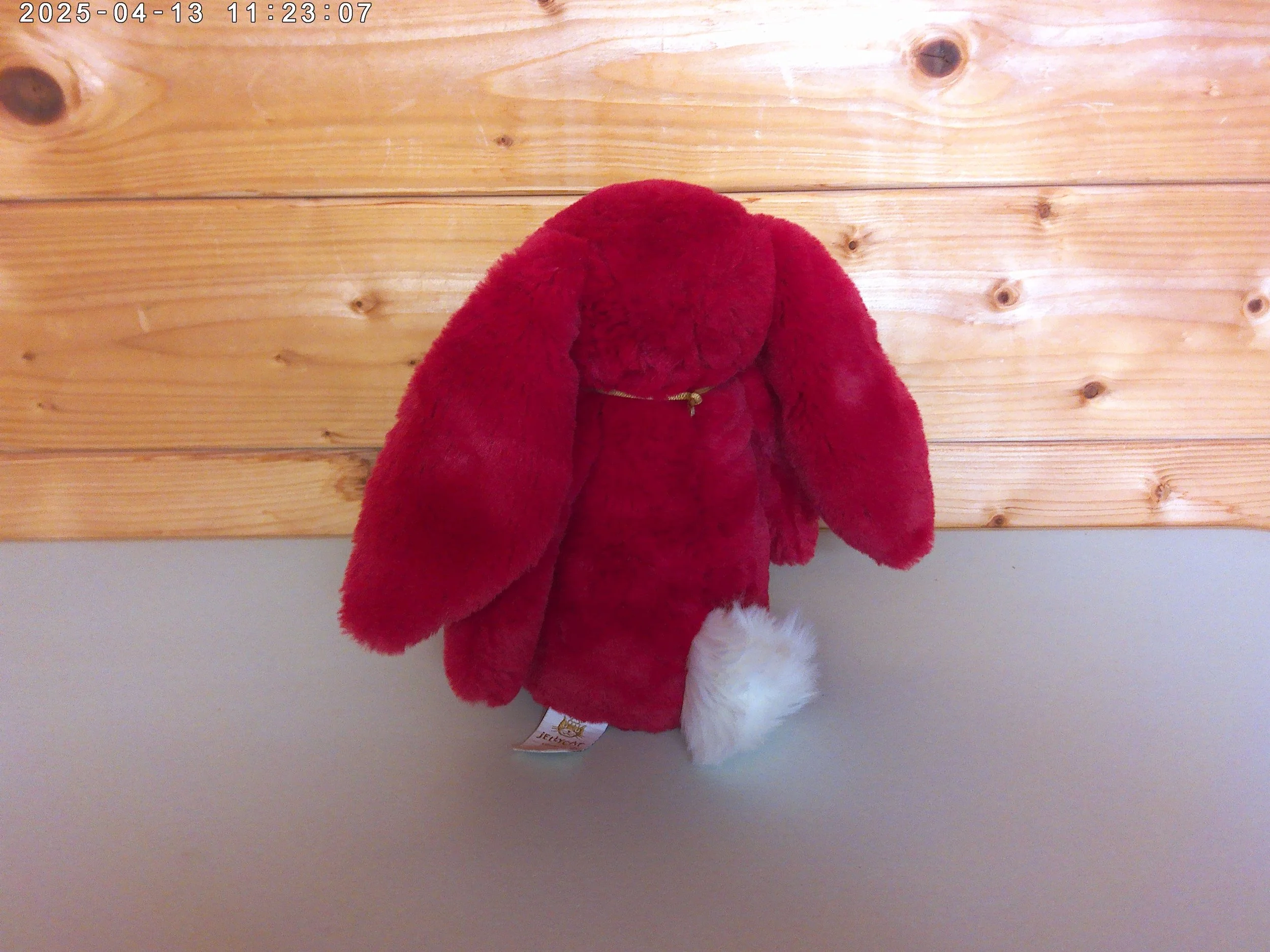 Scarlett bunny medium - photo 2.jpg