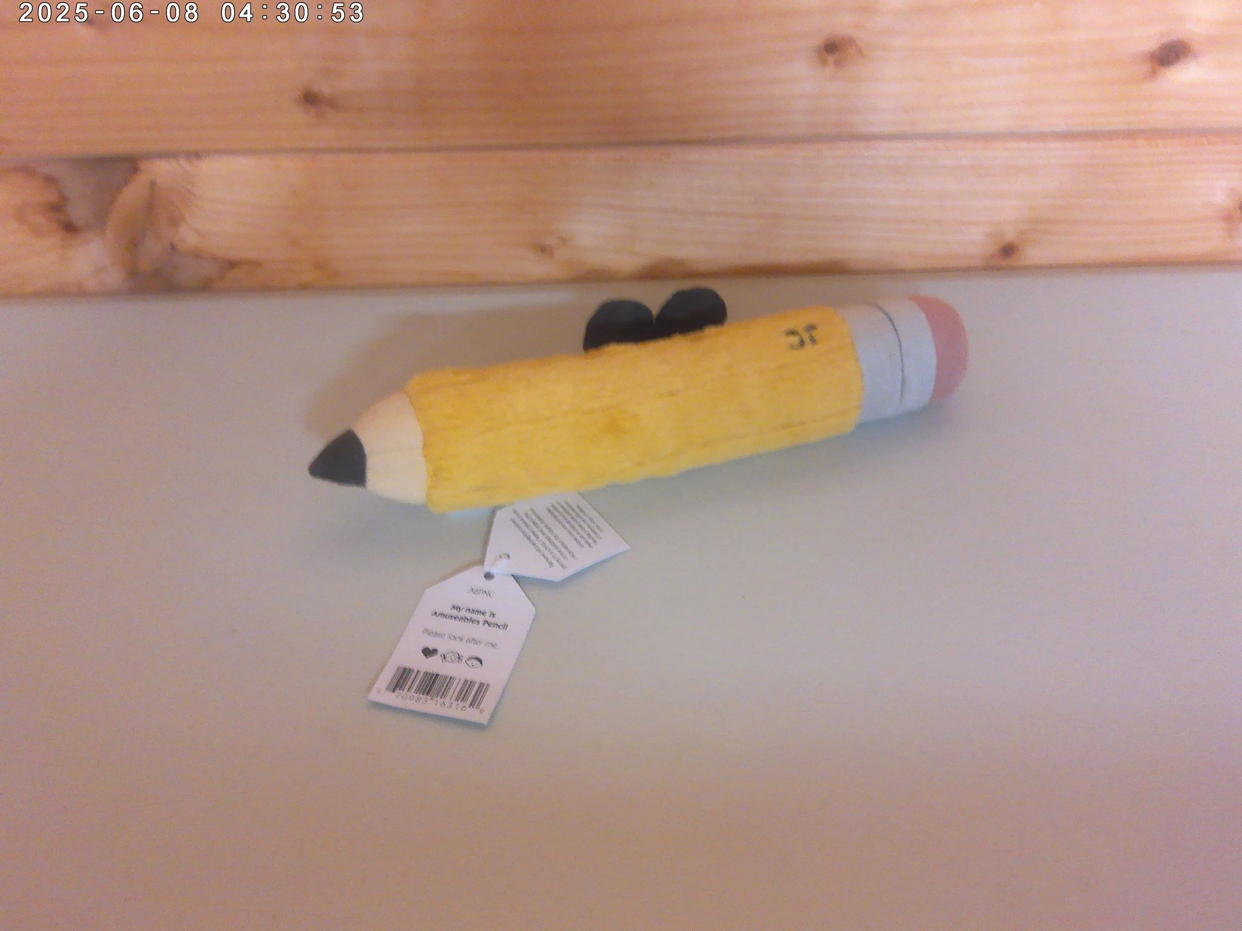 Pencil - photo 2.jpg