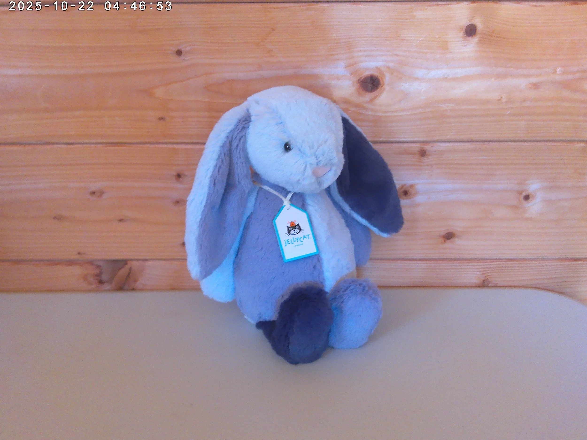 Puddlesea Bunny - photo 1.jpg