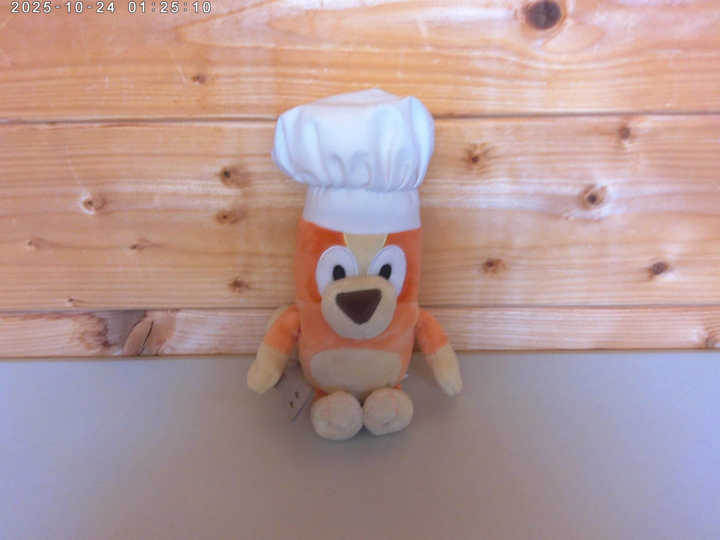 Bingo chef - photo 1.jpg