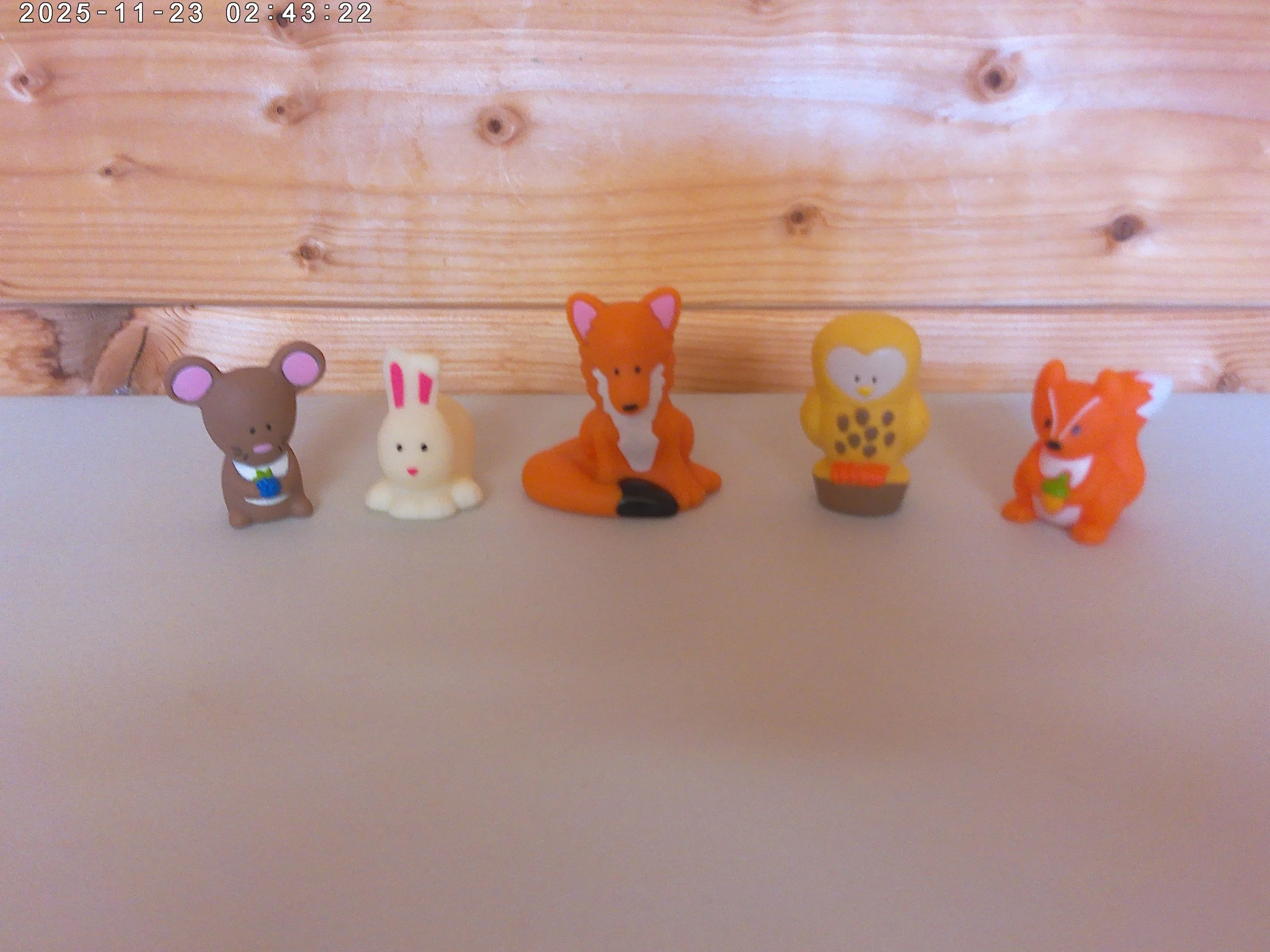 Woodland friends.jpg