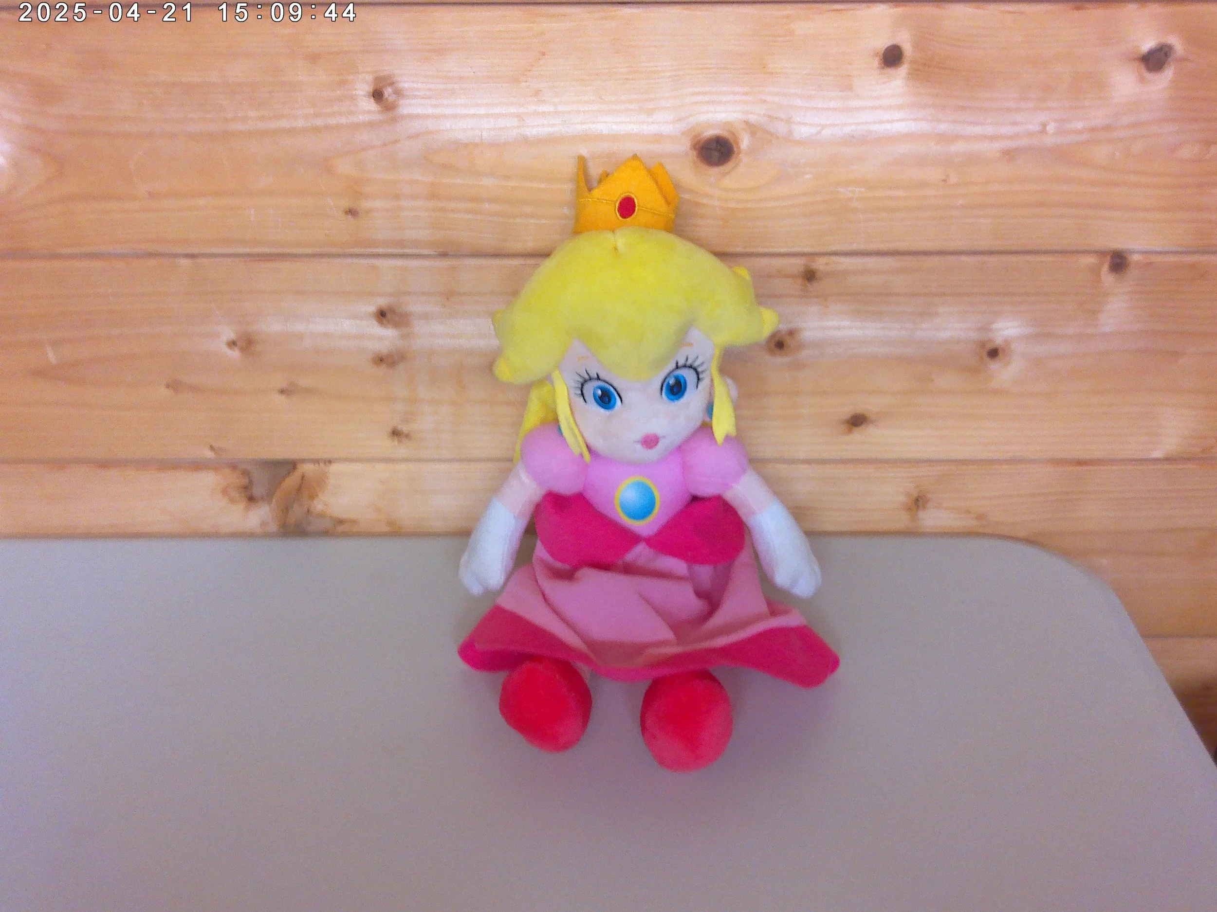 Peach plus medium - photo 1.jpg