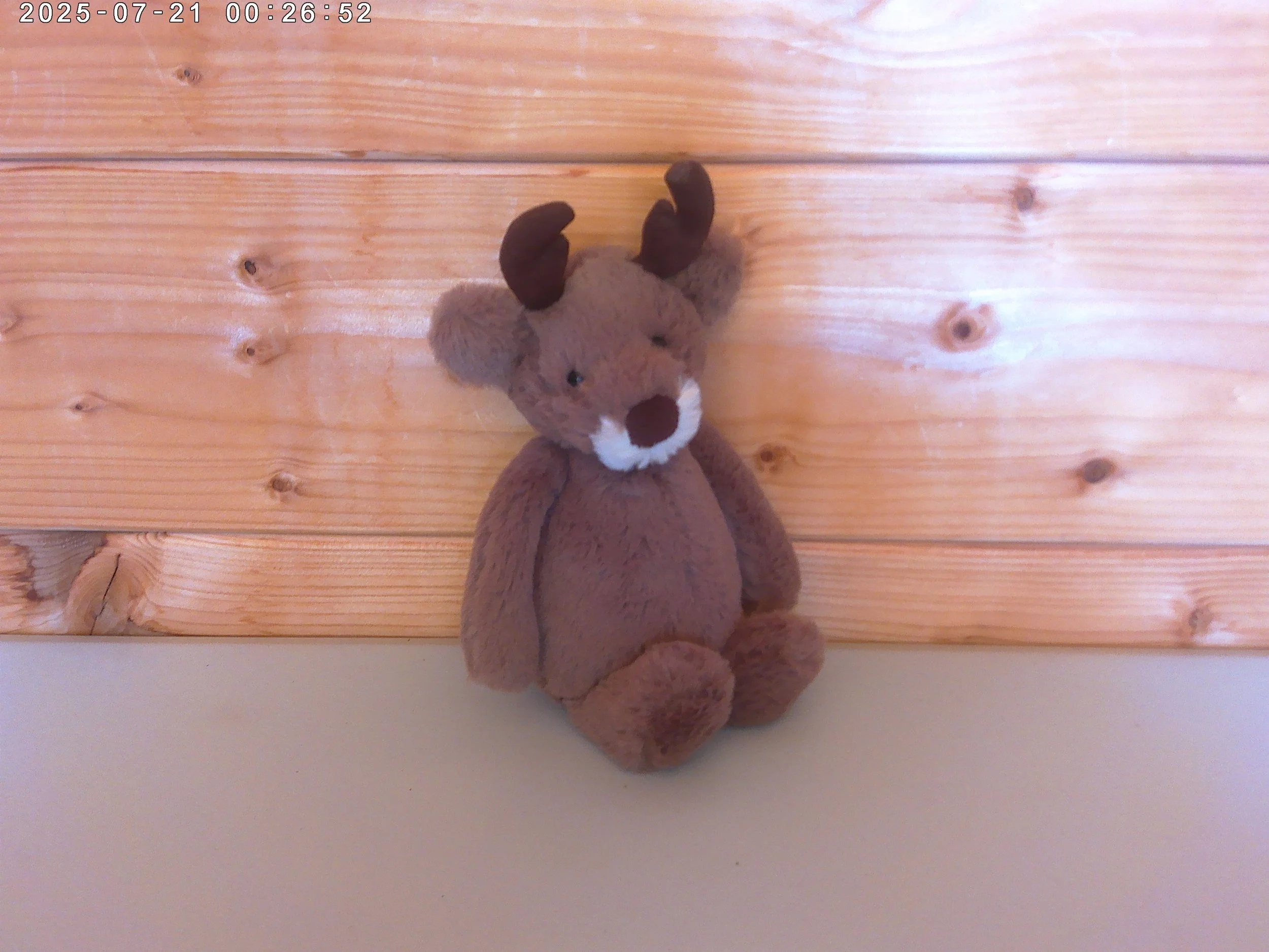 Bashful Reindeer - photo 3.jpg