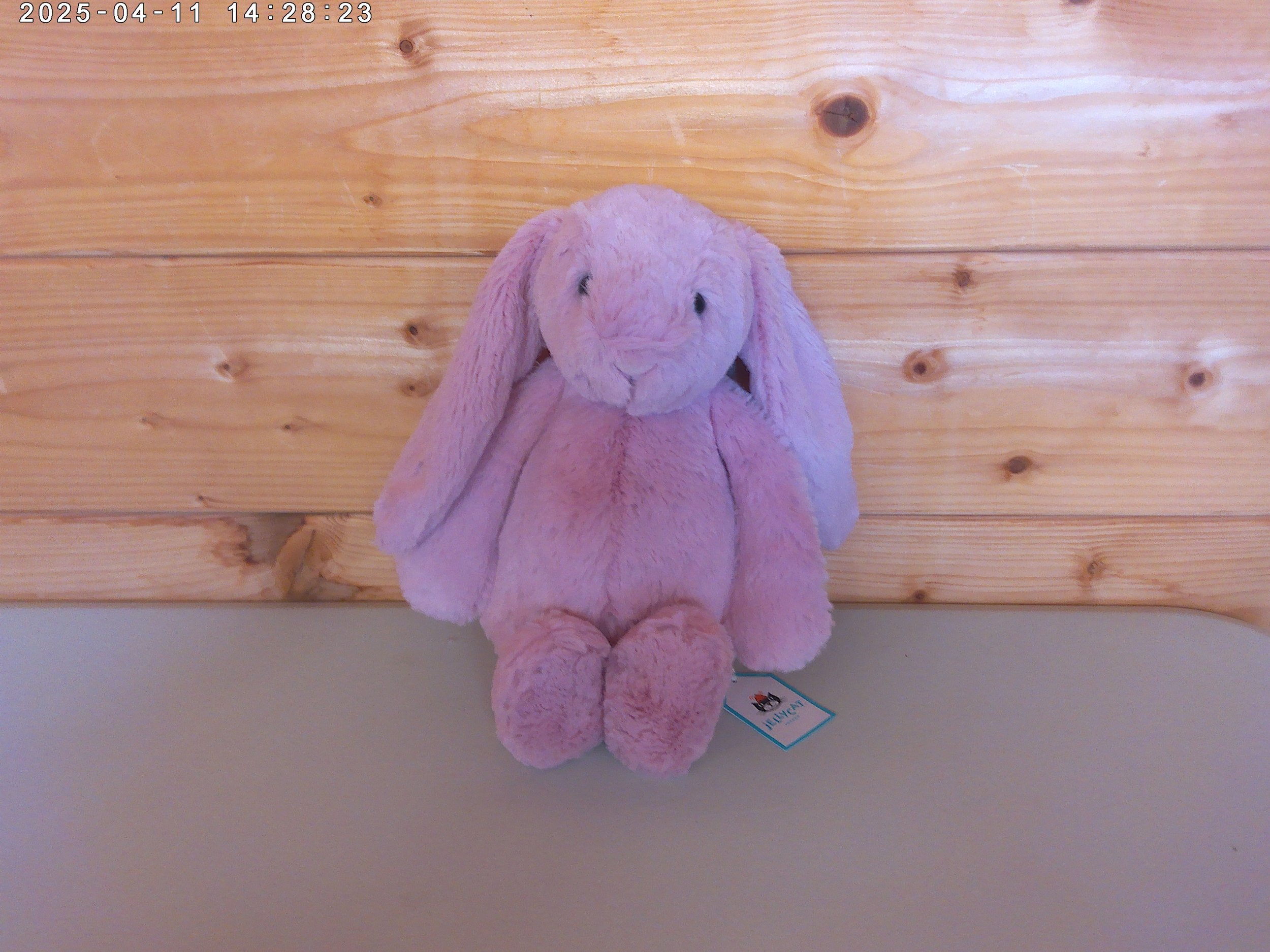Tulip bunny - photo 1.jpg