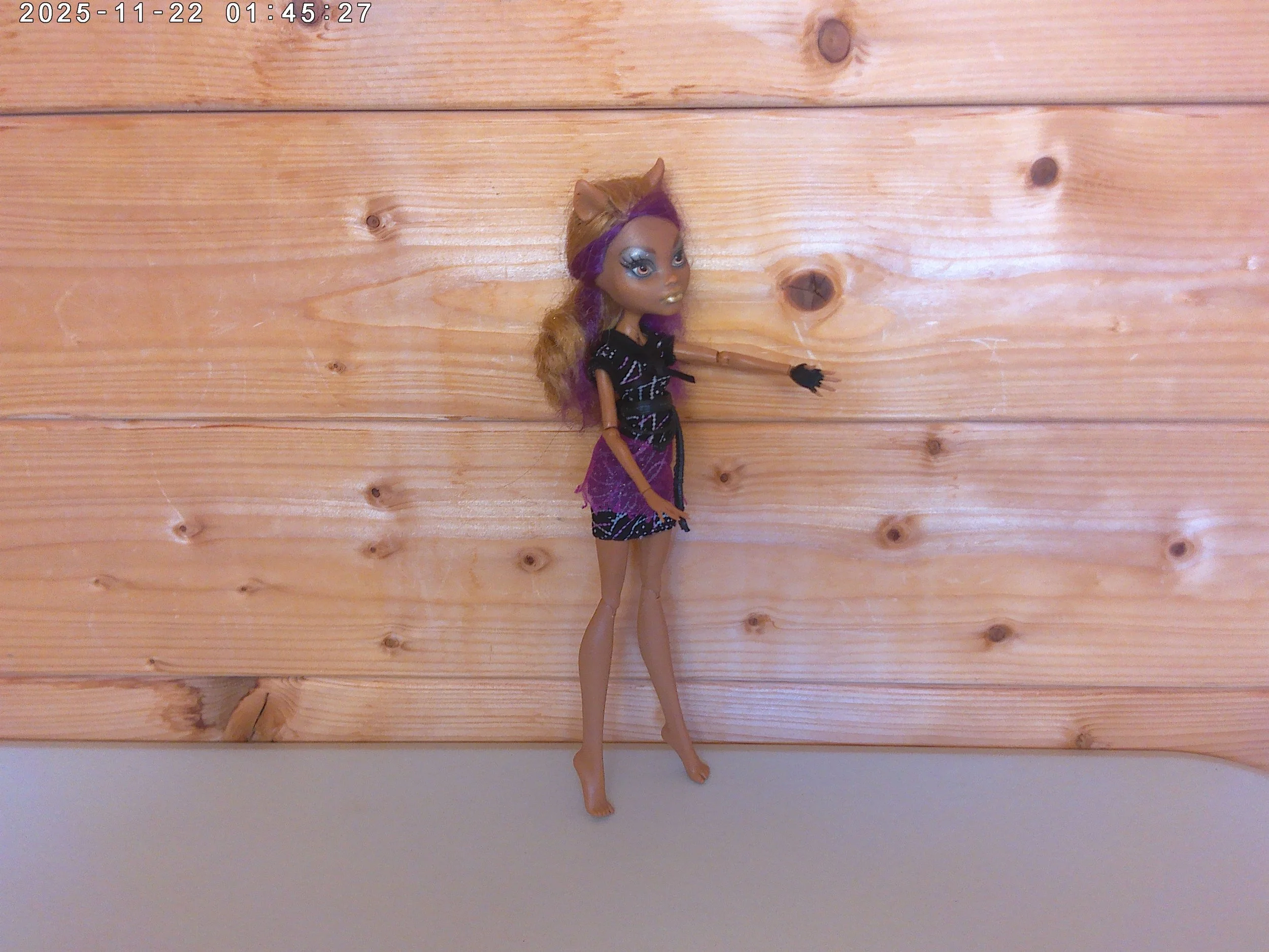Clawdeen - photo 3.jpg
