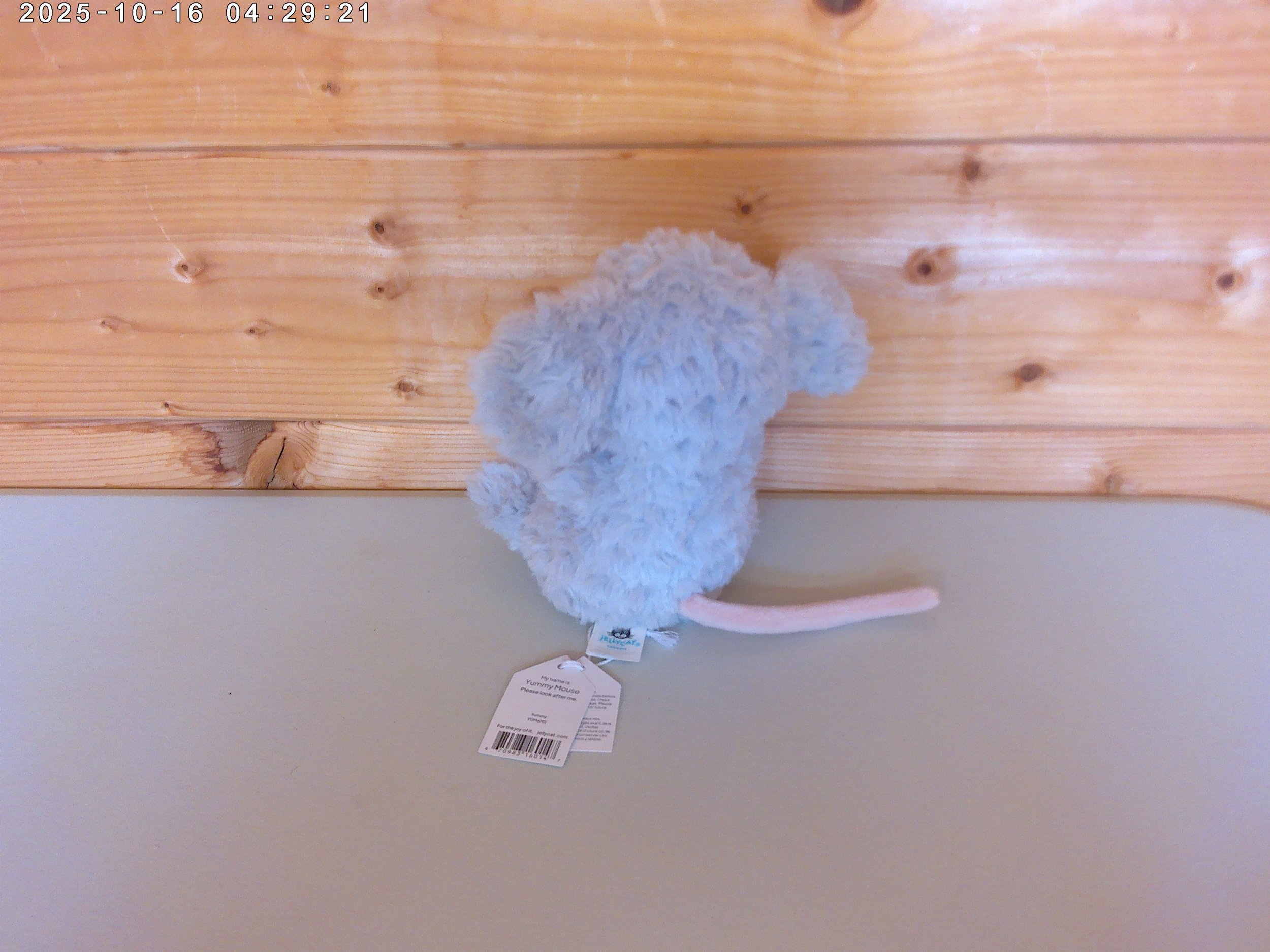 Yummy mouse - photo 2.jpg