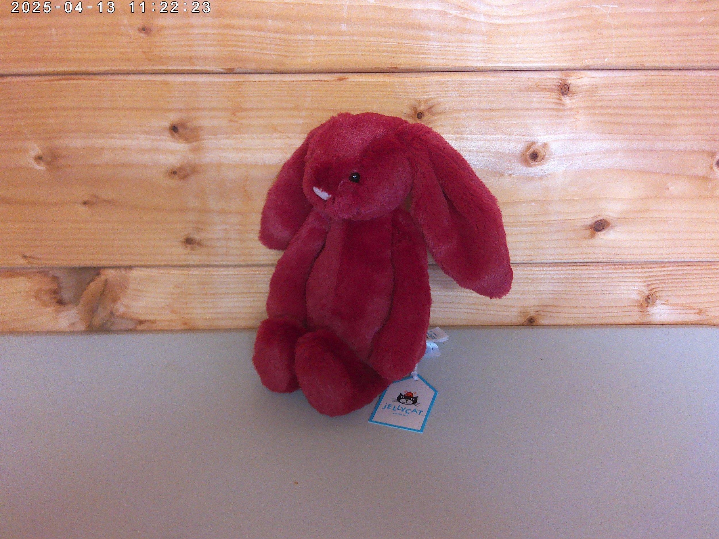 Redcurrant bunny - photo 3.jpg