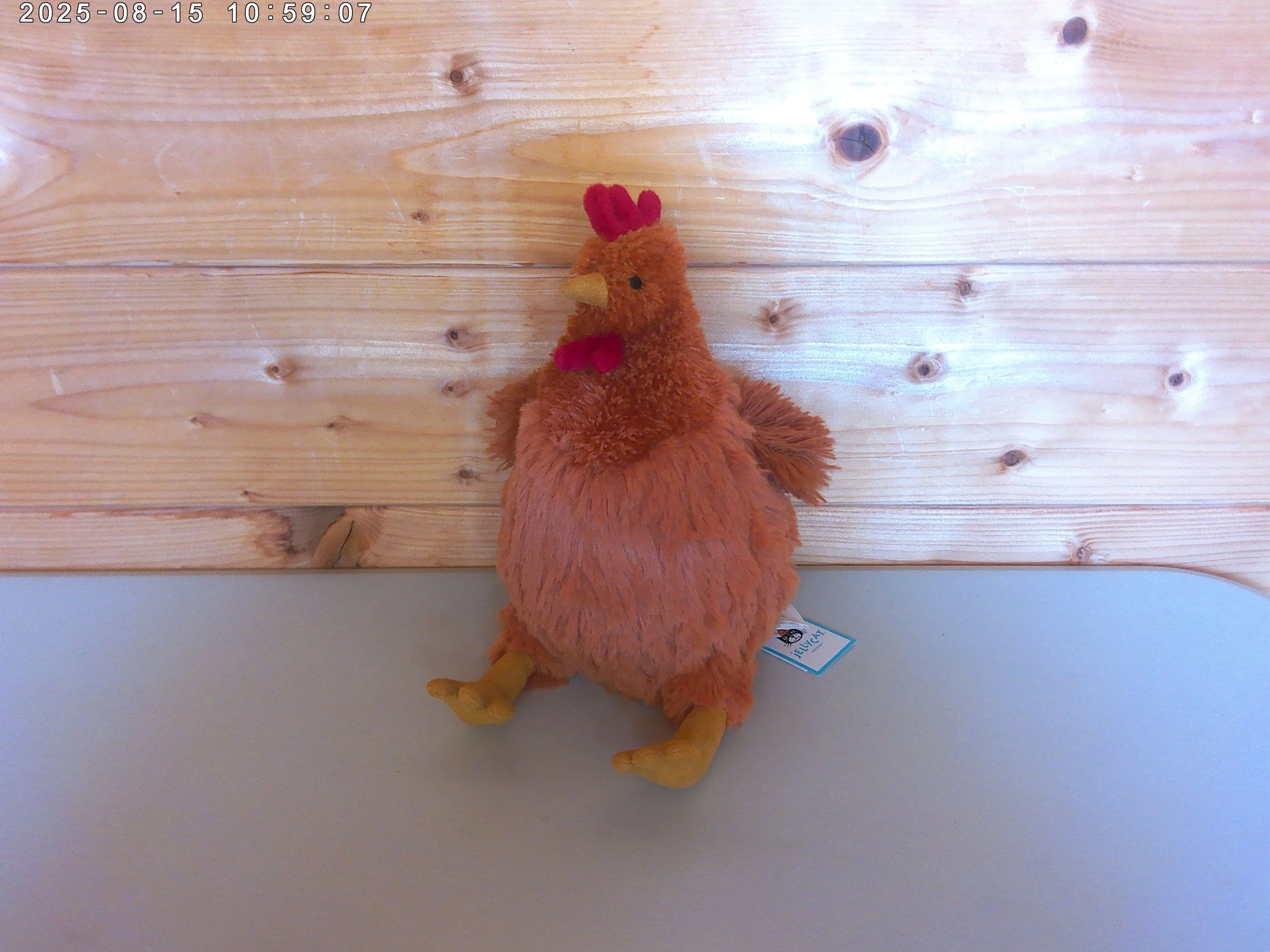 Celia chicken - photo 4.jpg