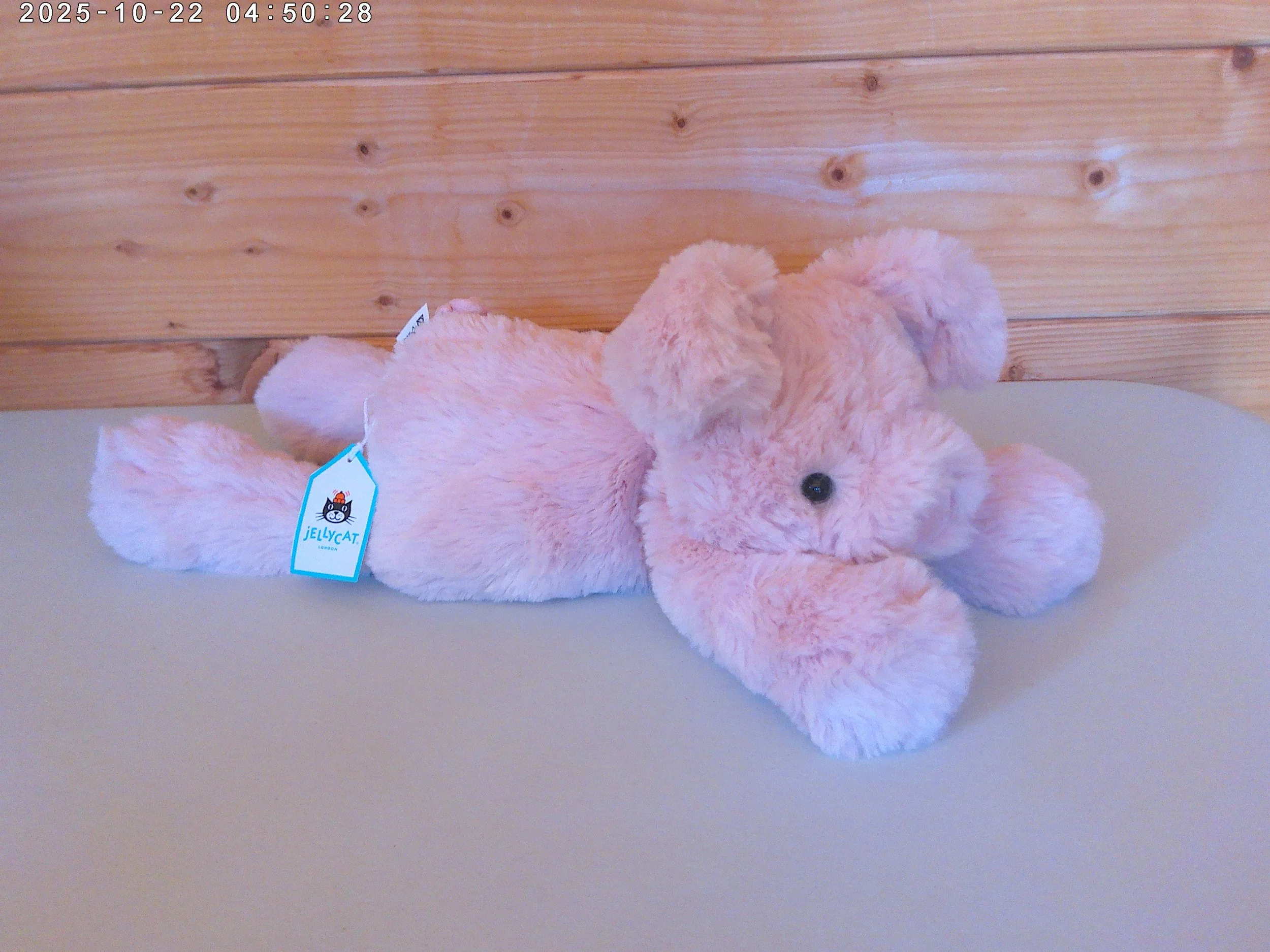 Smudge pig - photo 2.jpg