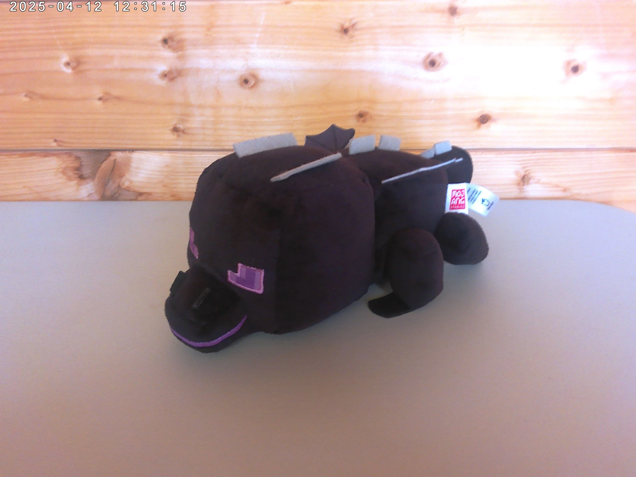 Enderdragon - photo 1.jpg