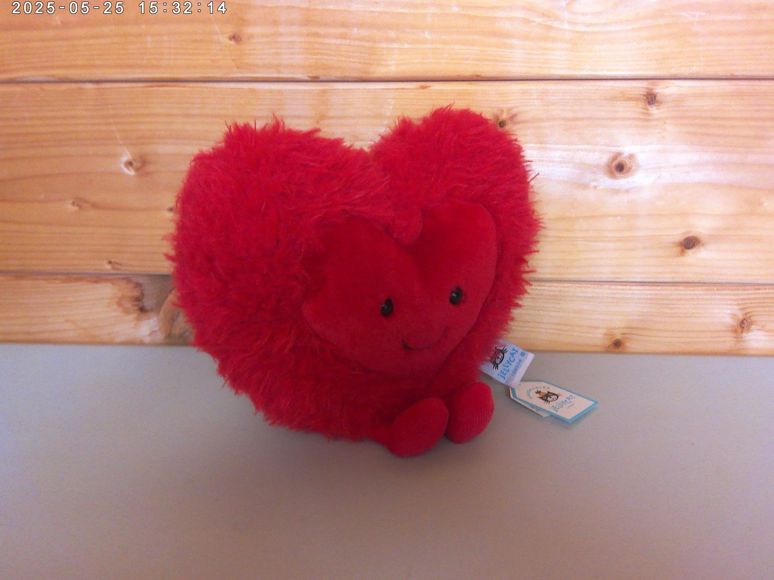 Heart - photo 3.jpg