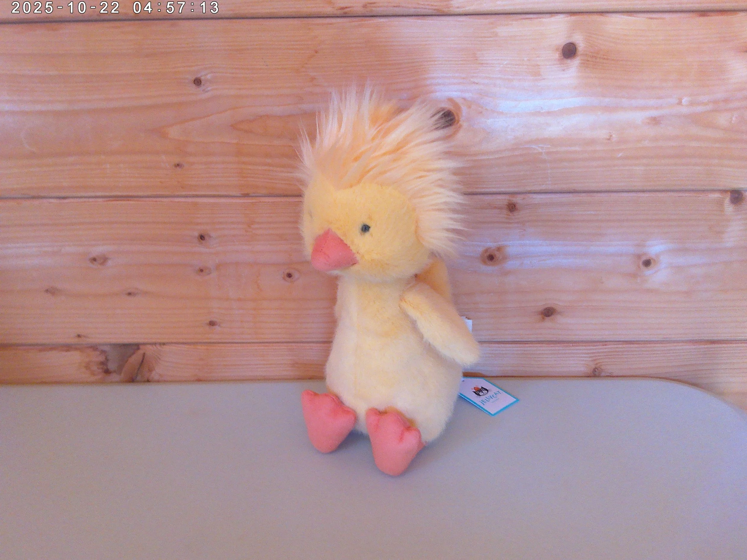 Dorit Duckling - photo 4.jpg
