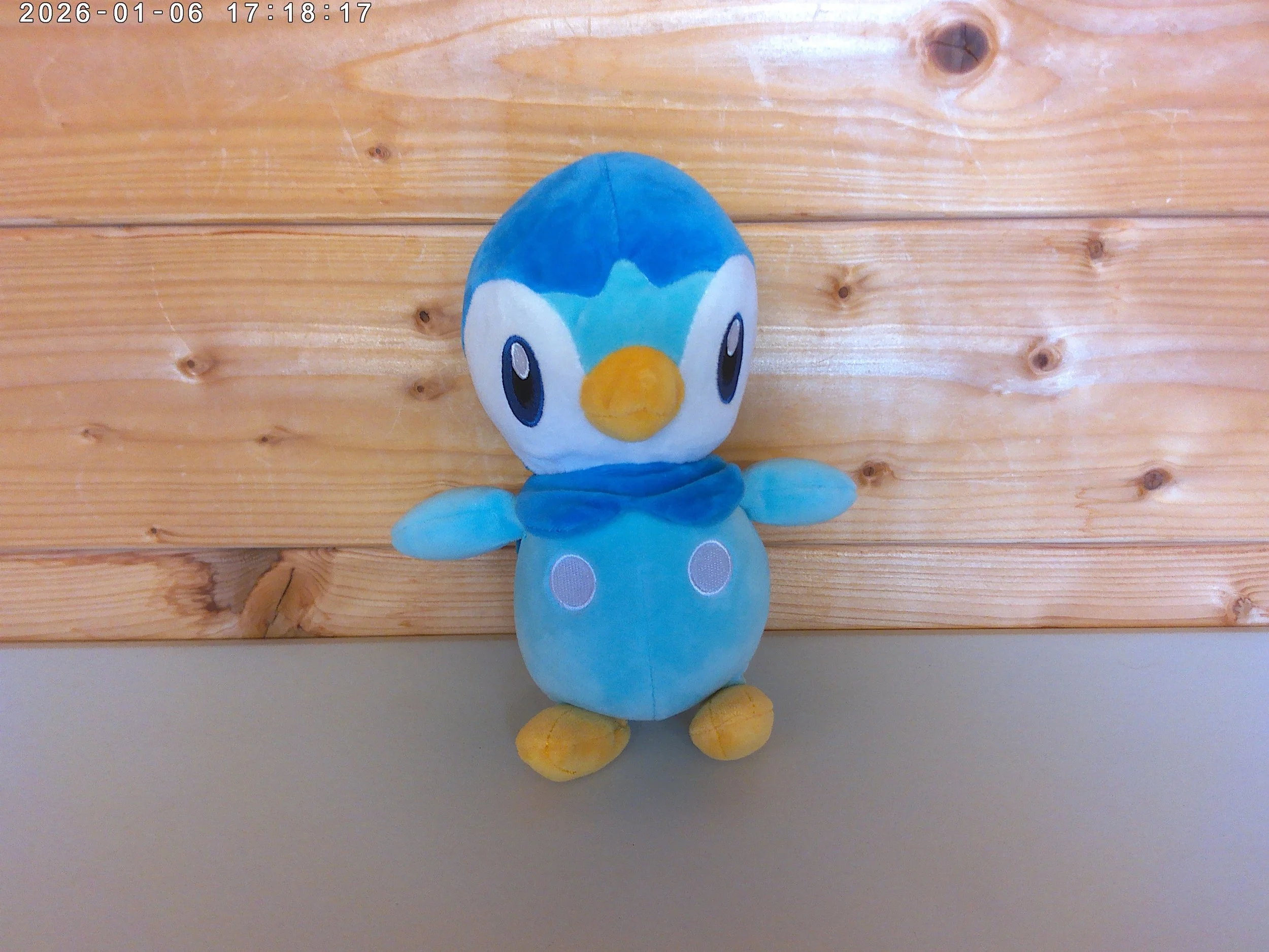 Piplup - photo 1.jpg