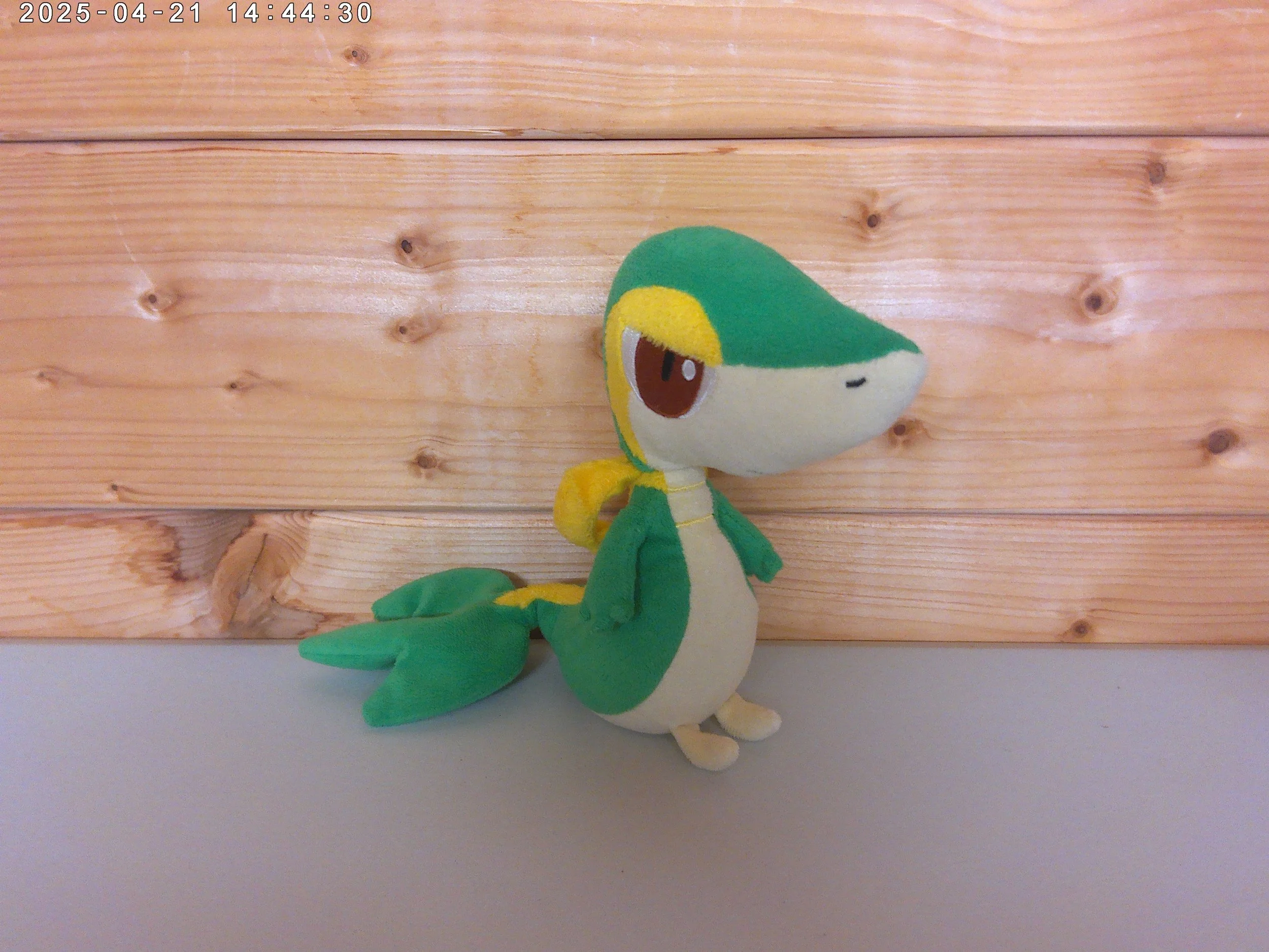 Snivy - photo 2.jpg