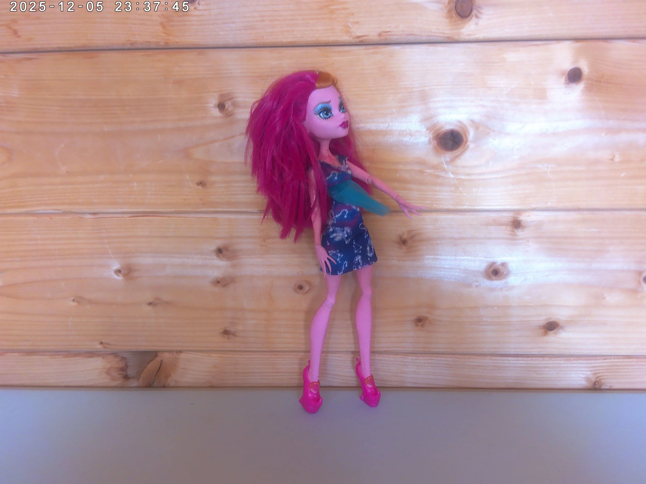 Gigi - photo 3.jpg