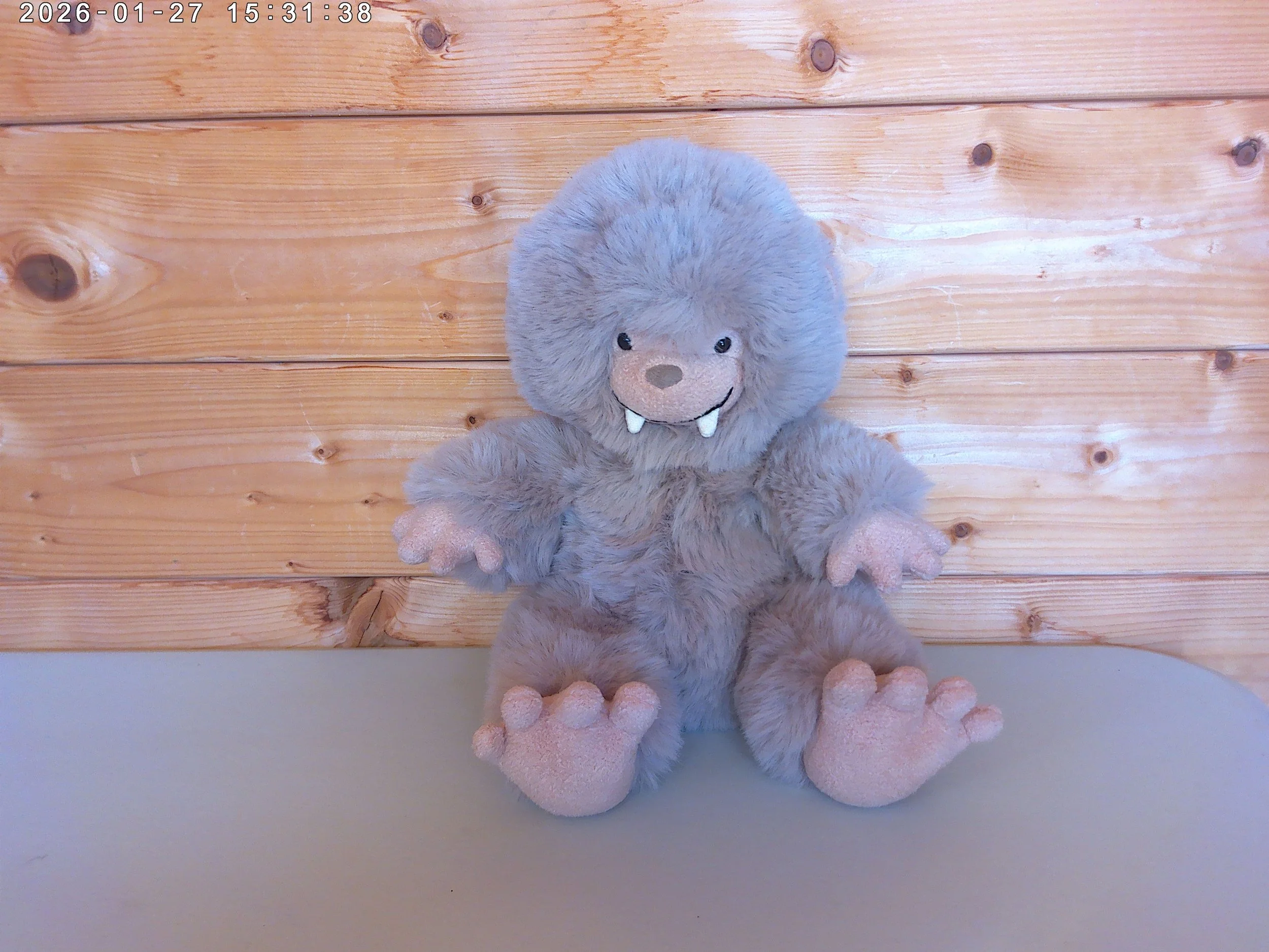 Bigfoot - photo 1.jpg