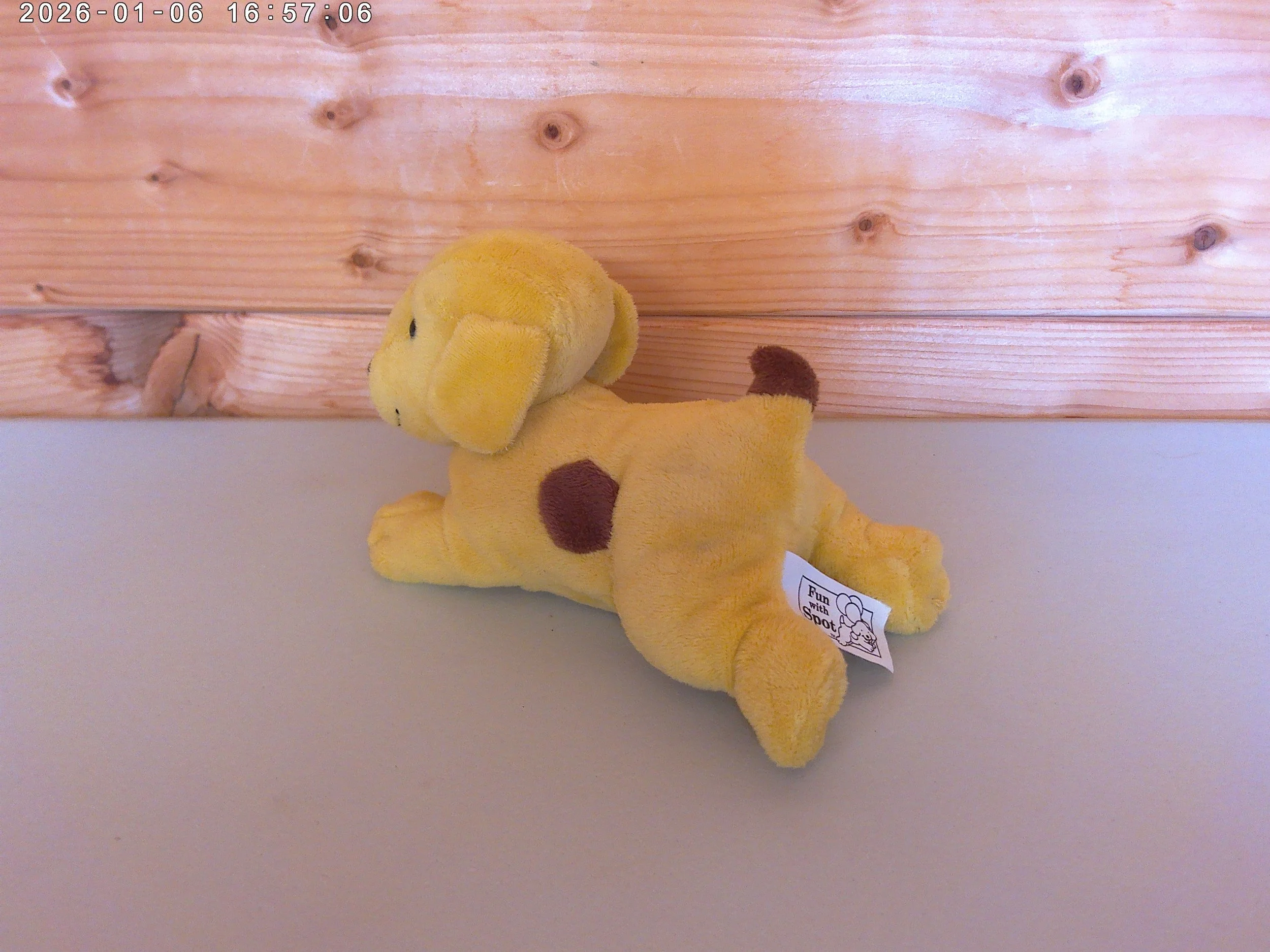 spot - photo 3.jpg